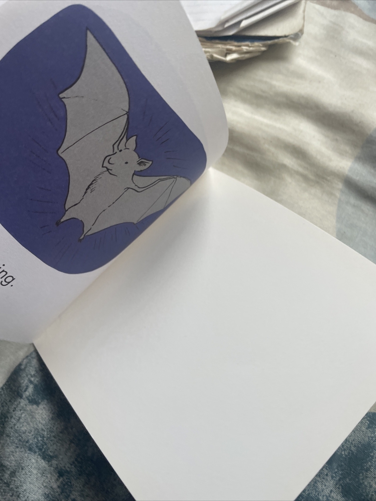 FIRST LITTLE READERS, LIZ CHARLESWORTH, BAT FACTS, 14 by 14CM