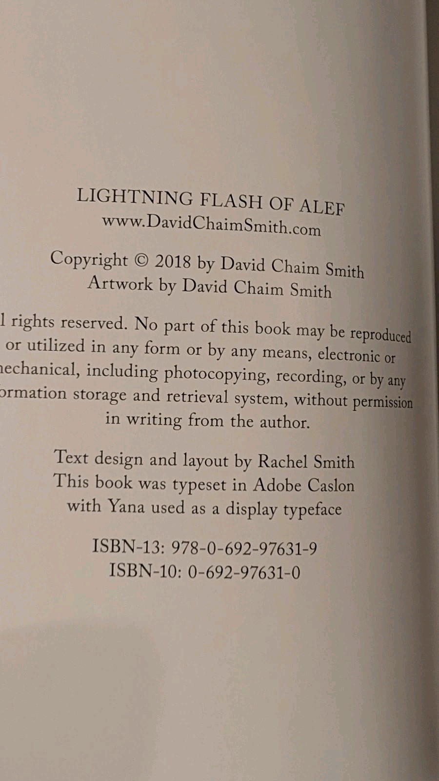 Bath of Bright Silence by David Chaim Smith Lightning Flash of Alef V.2 LIKE NEW