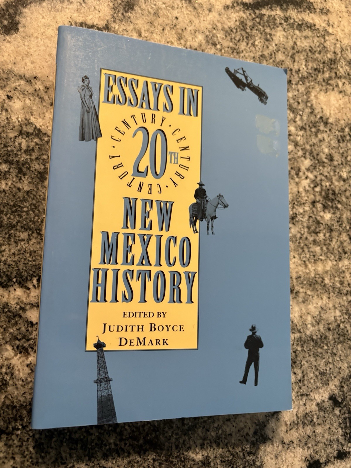 Essays In New Mexico 20th century A History Book Paperback Gift for Readers