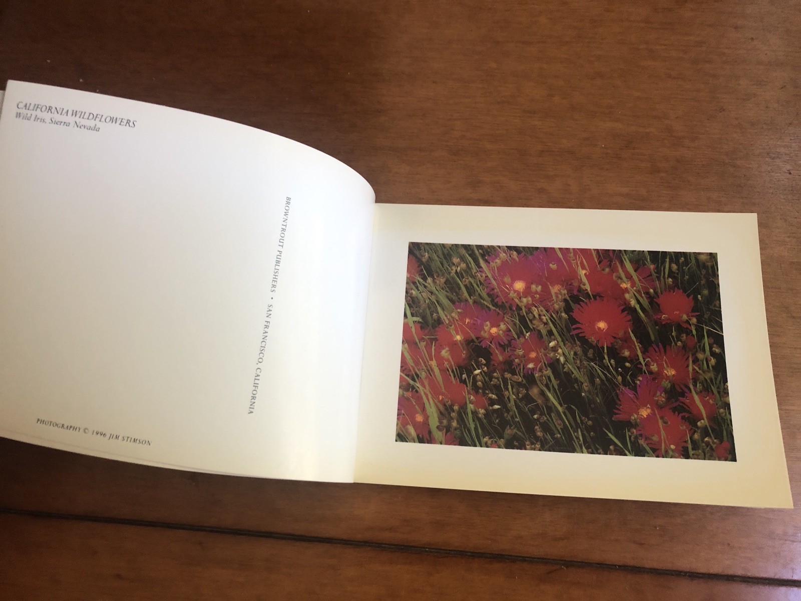 California Wildflowers A Book of 21 Postcards Browntrout Publishers Photos VTG