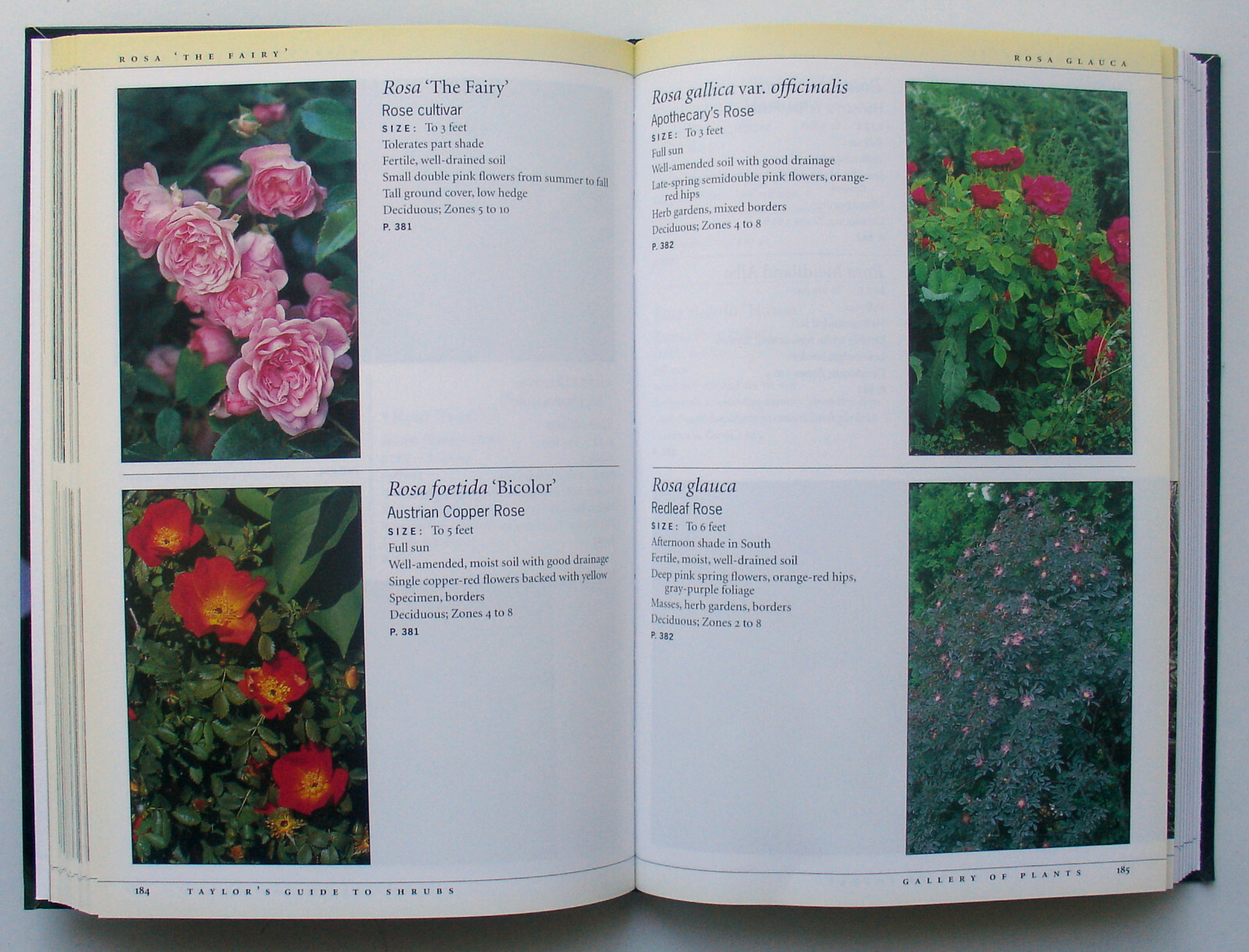 Taylor’s Guides: Shrubs : How to Select and Grow Shrubs – Kathleen Fisher – PB
