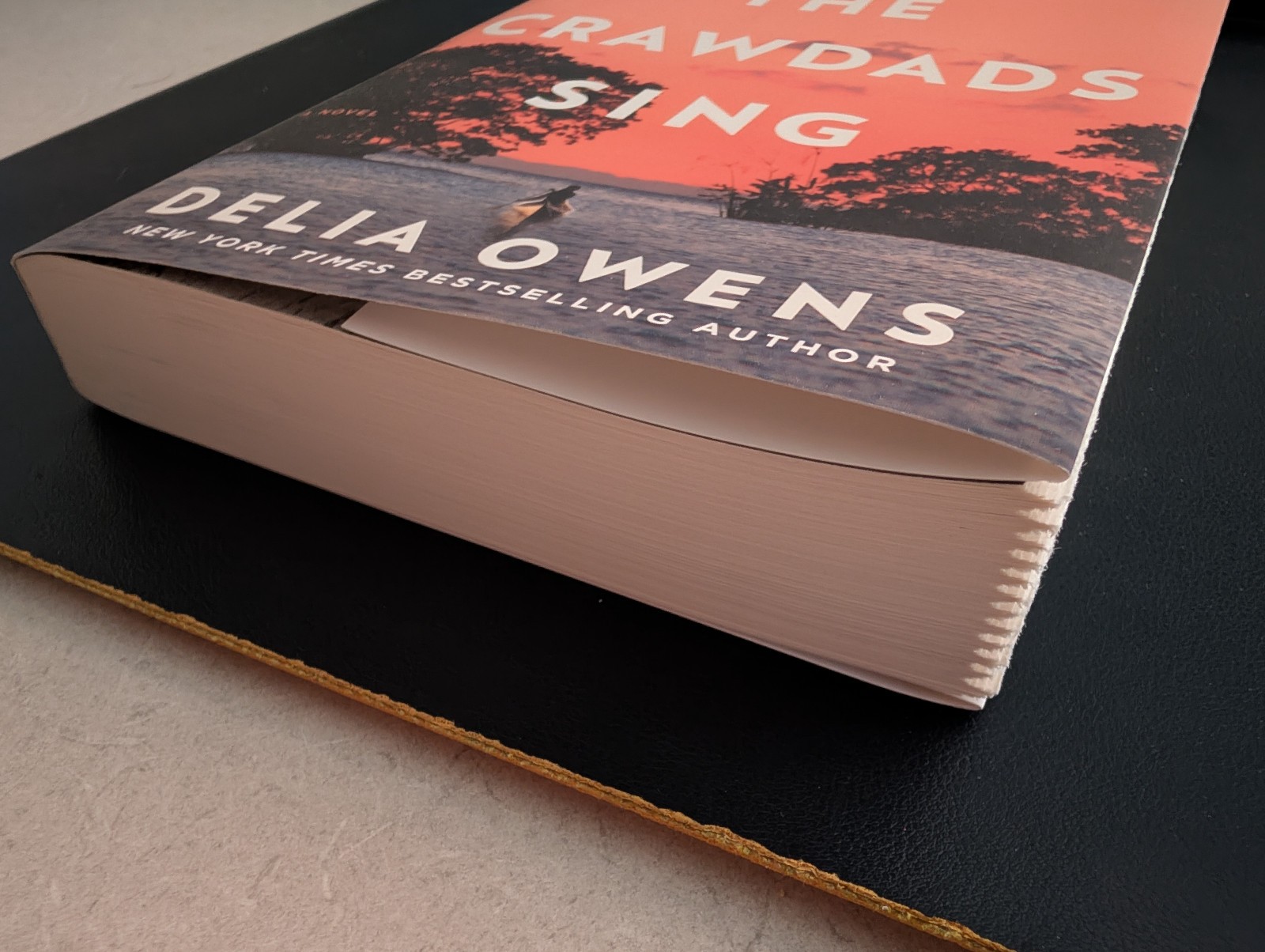 RARE ARC – Where The Crawdads Sing by Delia Owens – Advance Reader’s Copy