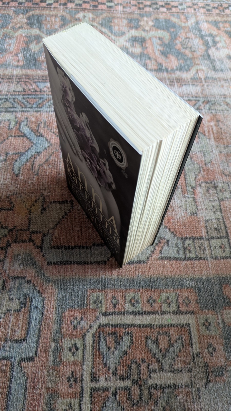 Anna Karenina (Penguin Classics Deluxe Edition) by Leo Tolstoy (2002 Trade PB)