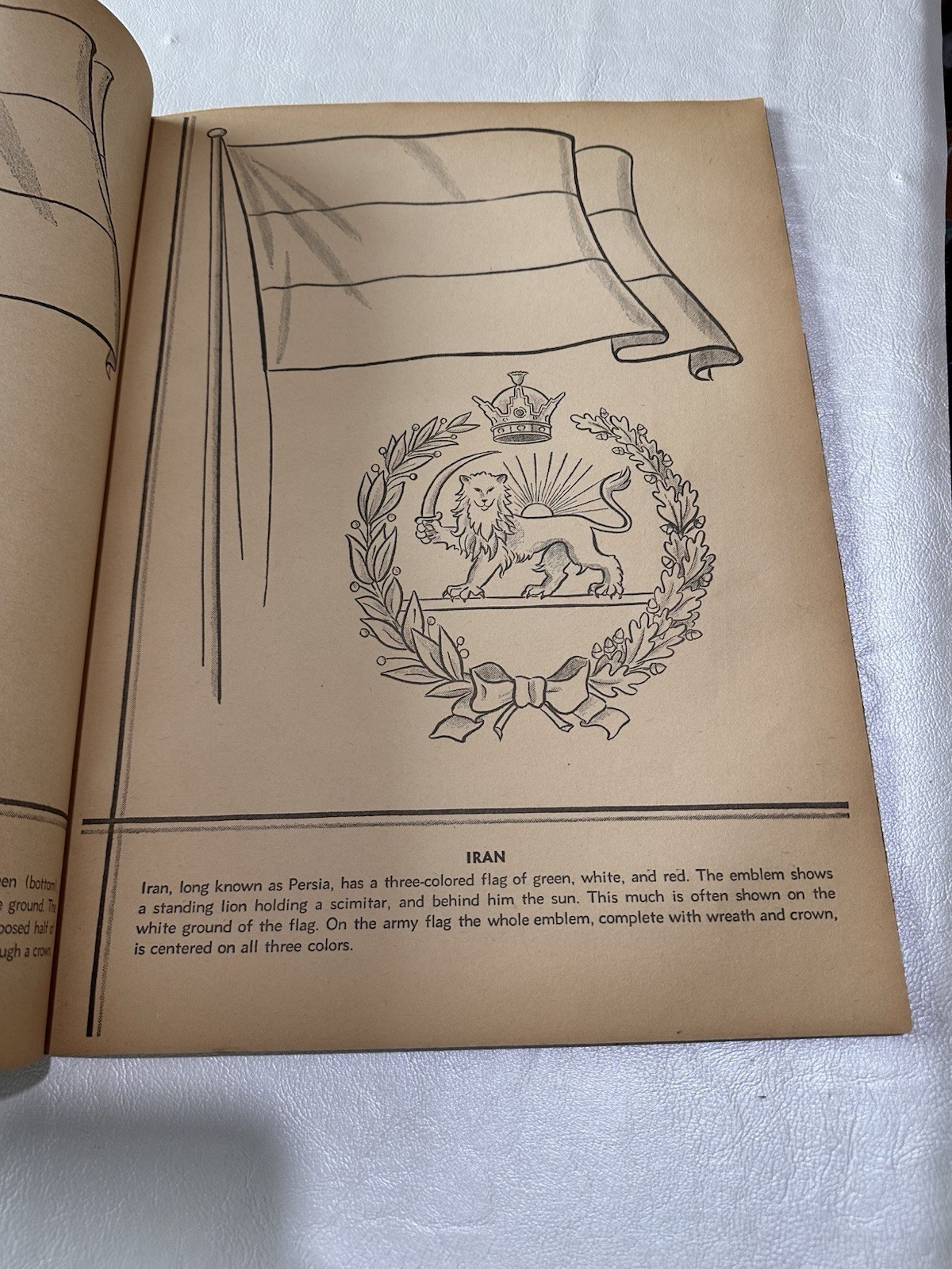 Vintage National Flags Coloring Book 48 Pages