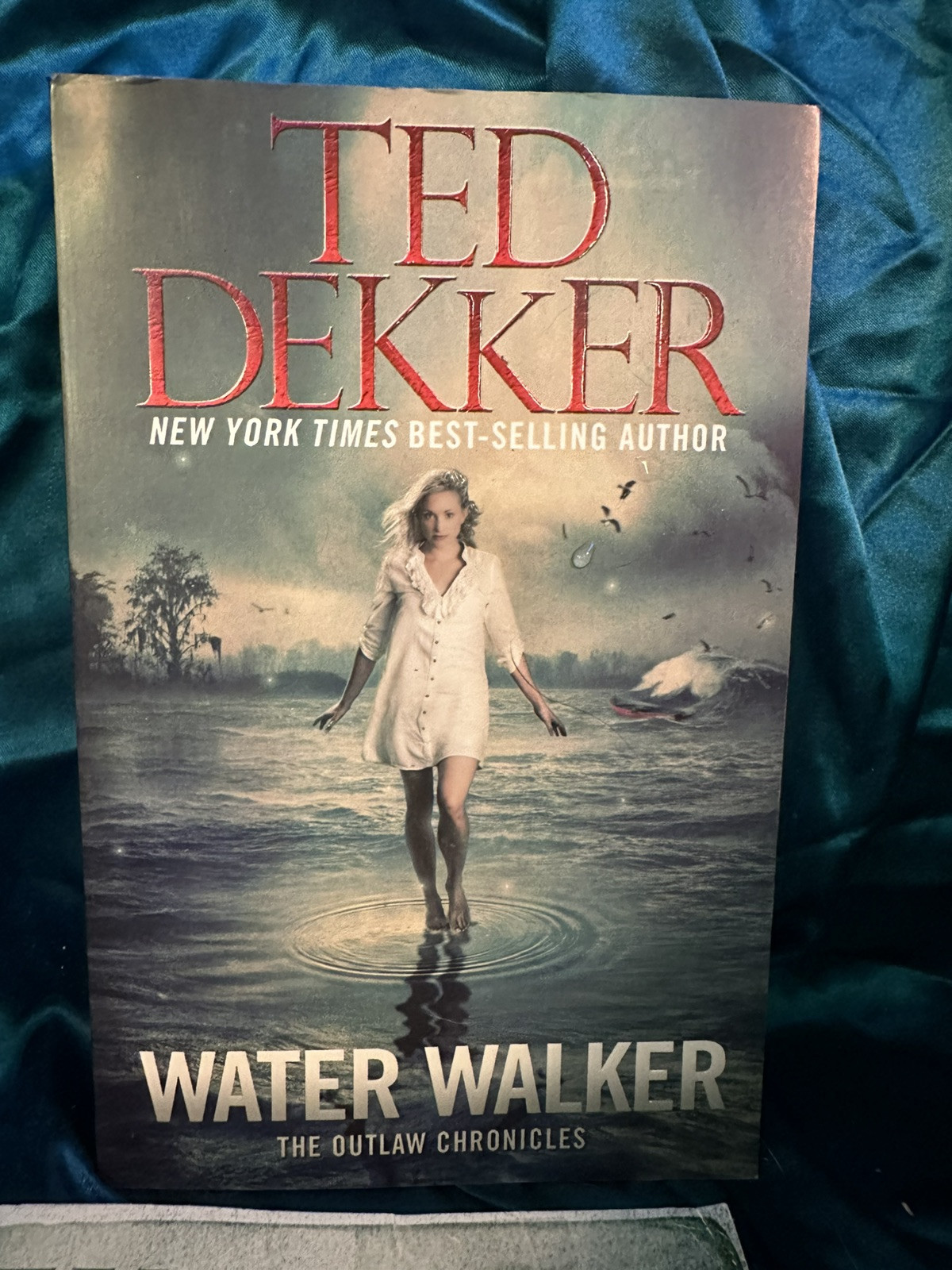 Lot Of 3 TED DEKKER NOVELS! Water Walker & Blessed Child (w/Bill Bright) & House