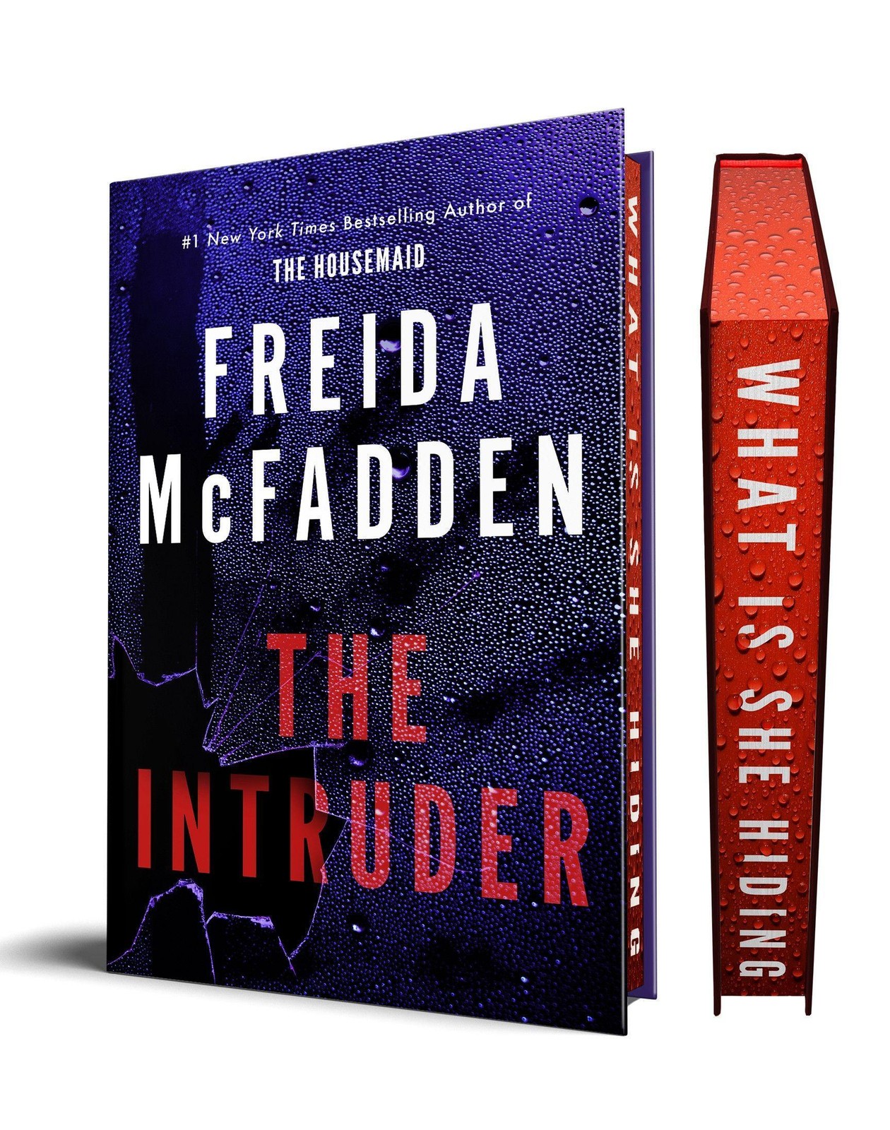 The Intruder Freida McFadden