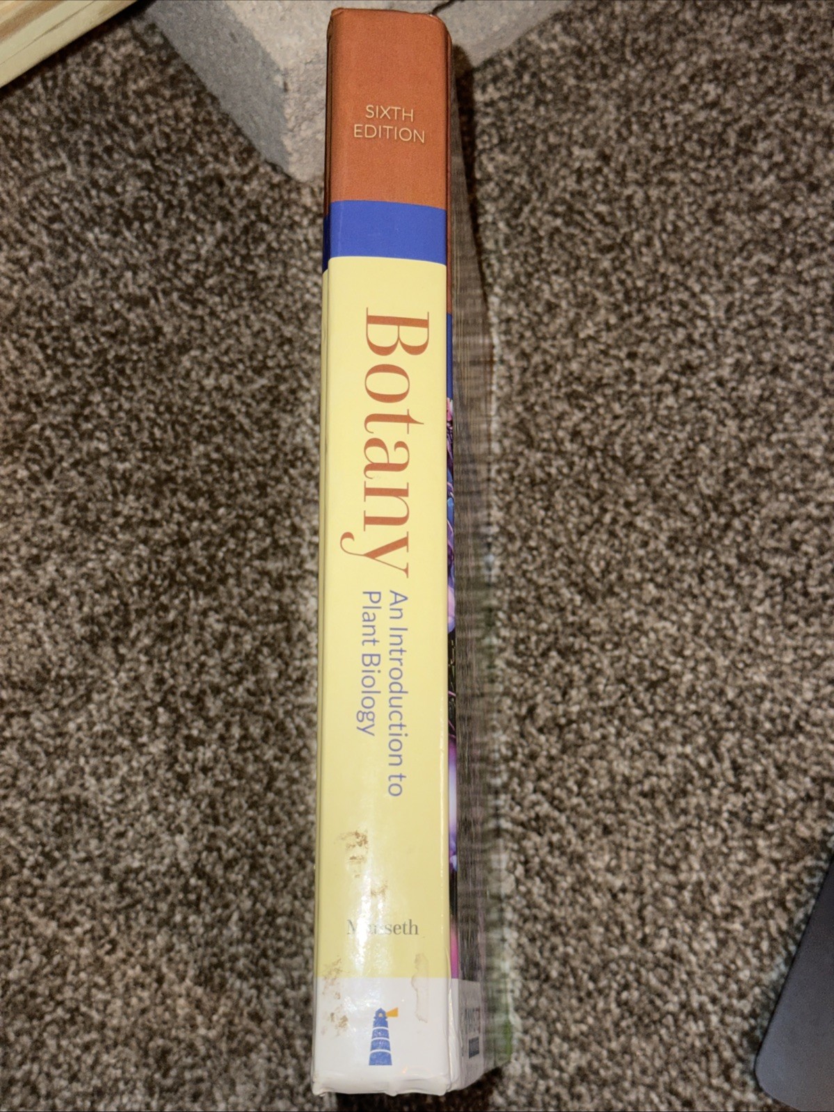 Botany : An Introduction to Plant Biology by James D. Mauseth (2016, Trade…