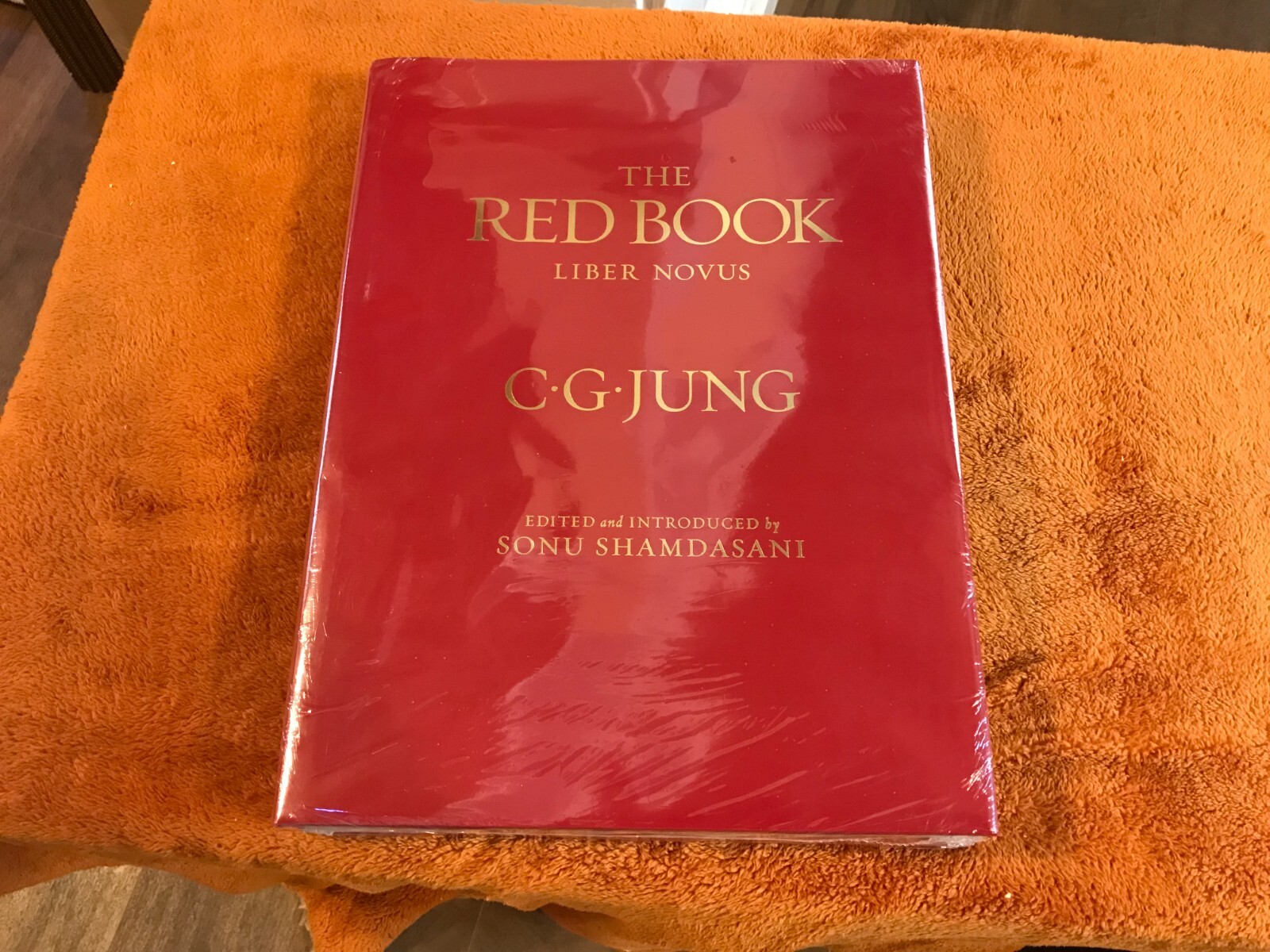 C.G. Carl Jung hardcover THE RED BOOK liber novus SEALED philemon ’09 illus eng!
