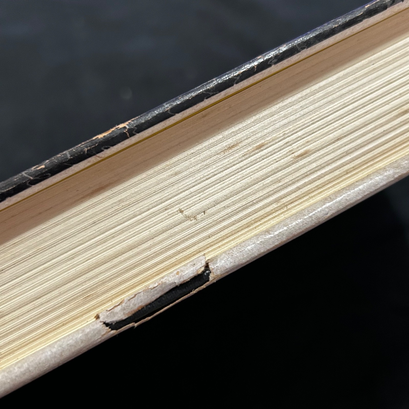 The Complete Stories by Franz Kafka (Hardcover)