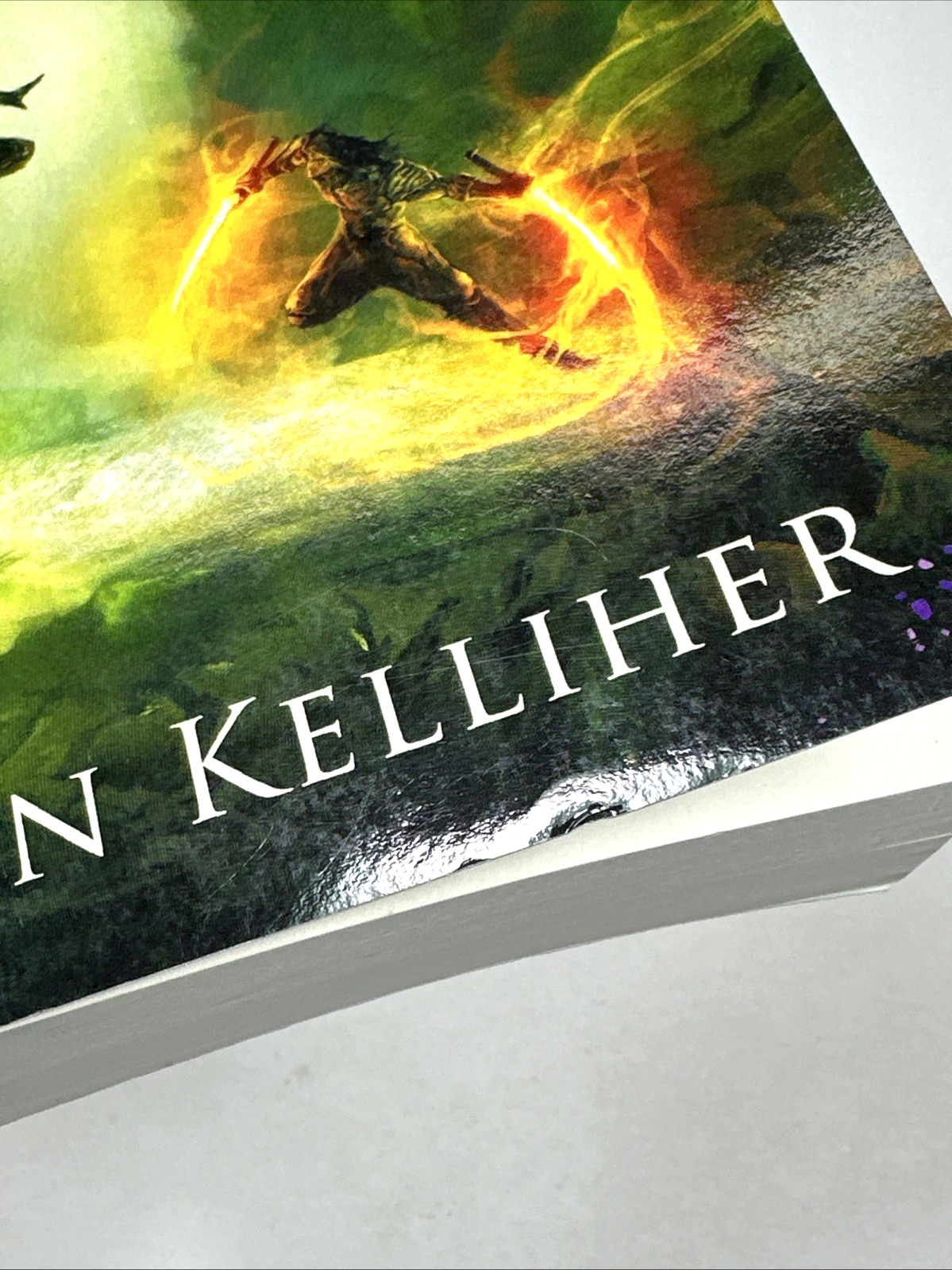 The Landkist Saga 2 book Lot by Steven Kelliher, Valley of Embers, Emerald Blade
