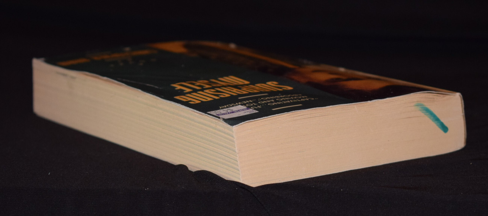 Surprising Myself – By Christopher Bram ~ Pages 424 ~ Paperback – GOOD