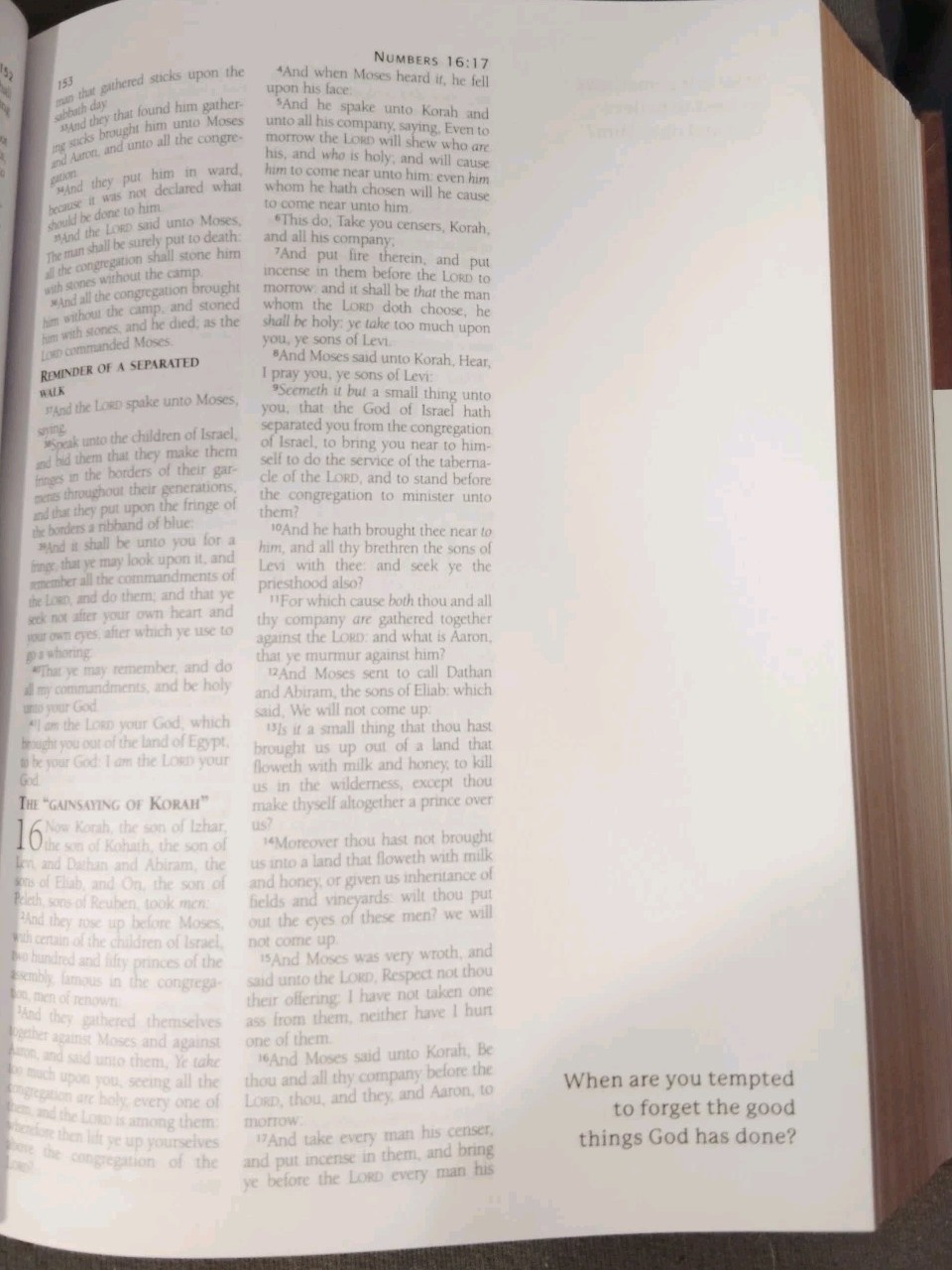 KJV Journaling Bible with Prompts [Copper Leaf] by Compiled by Barbour Staff