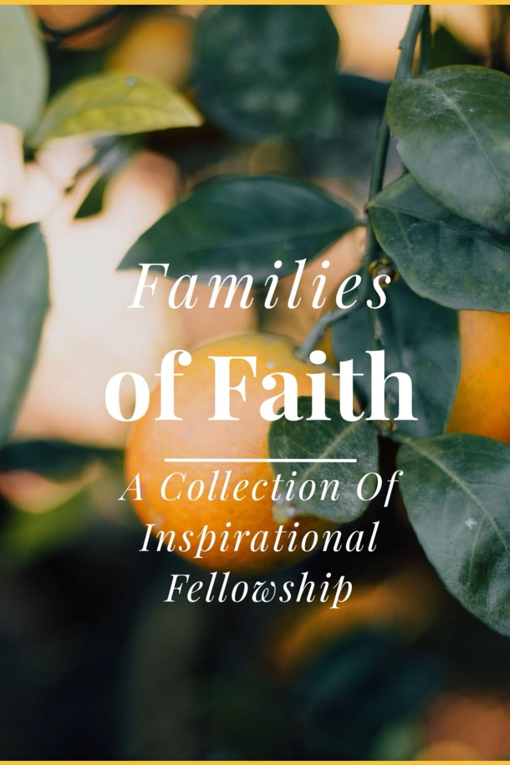 Families of Faith: A Collection of Inspirational Fellowship