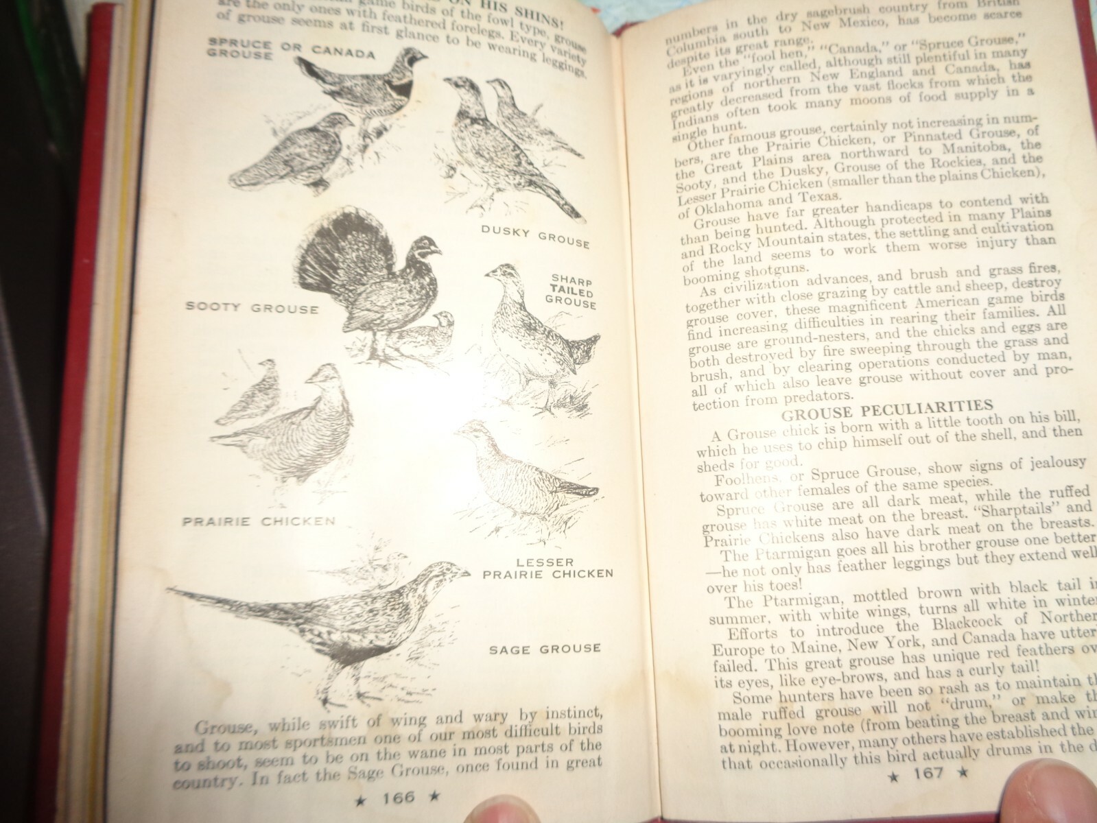HODGMAN’S HANDY BOOK OF SPORTSMEN’S SECRETS COPYRIGHT 1946 VINTAGE 168 PAGES