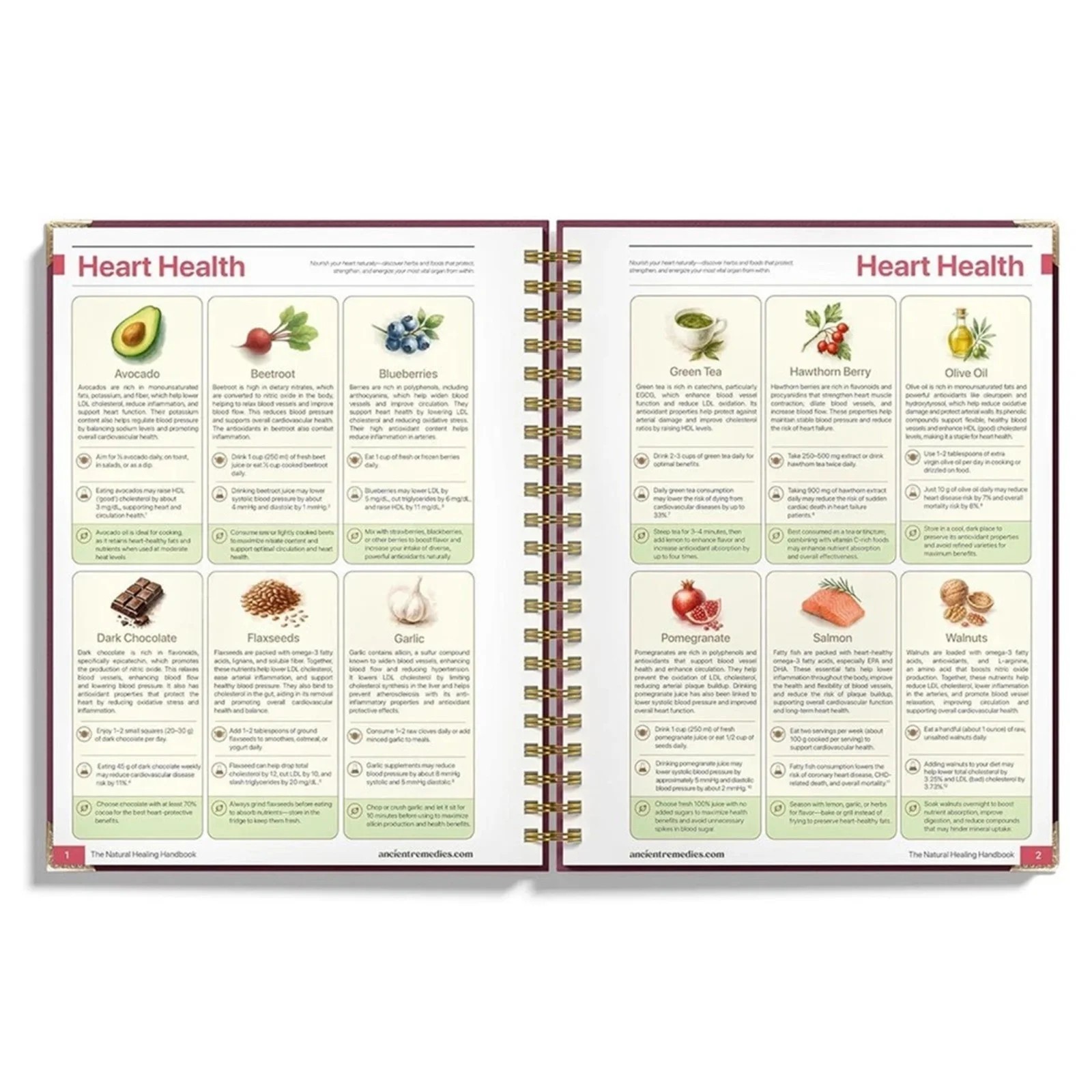 The Natural Healing Handbook, Spiral-Bound Guide for Herbal Remedies and Natural