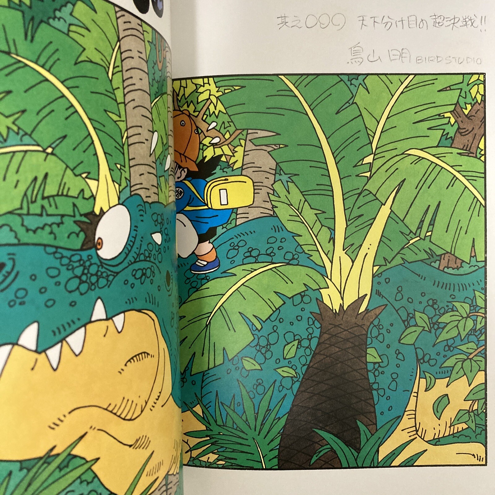 Akira Toriyama THE WORLD SPECIAL Art Book Illustration