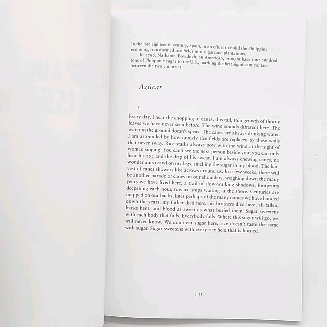 The Gods We Worship Live Next Door by Bino A. Realuyo Signed First Edition Book