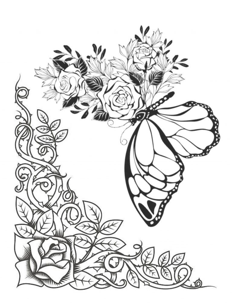 Best Butterfly Coloring Book with Floral Wings 108 Pages 8.5 x 11 for All Ages