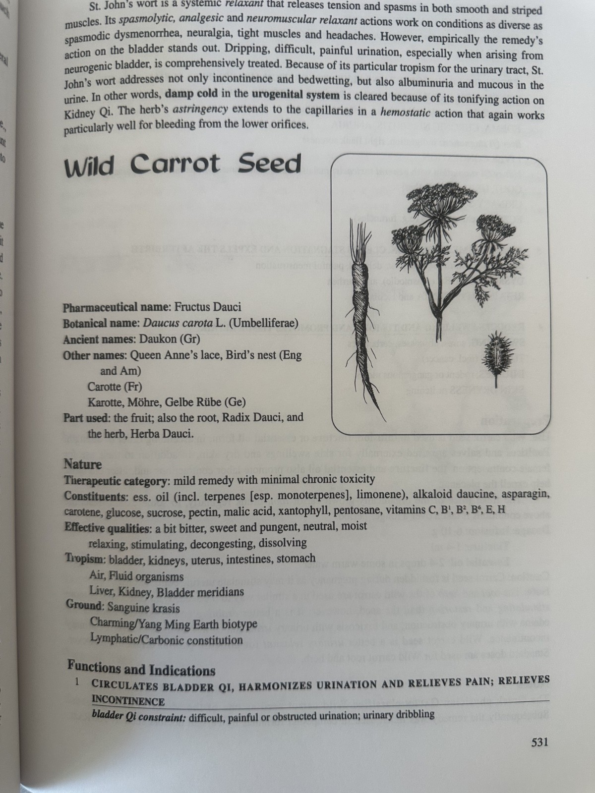 Energetics of Western Herbs Vol I II 1 2 Holmes PB set 2nd ed herbs homeopathic