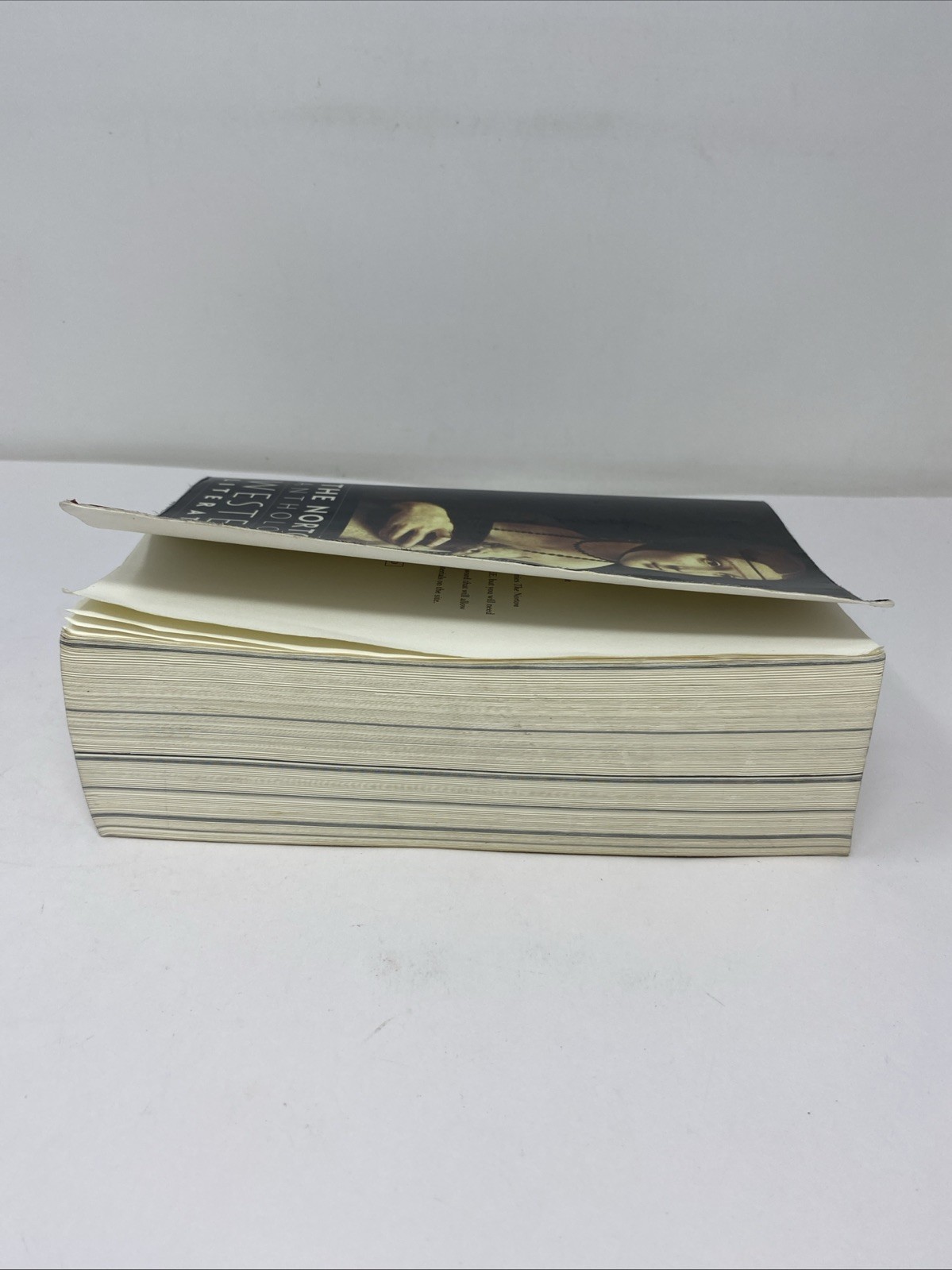 Norton Anthology of Western Literature 9th Edition, Vol. 1 – PB – FREE SHIPPING!