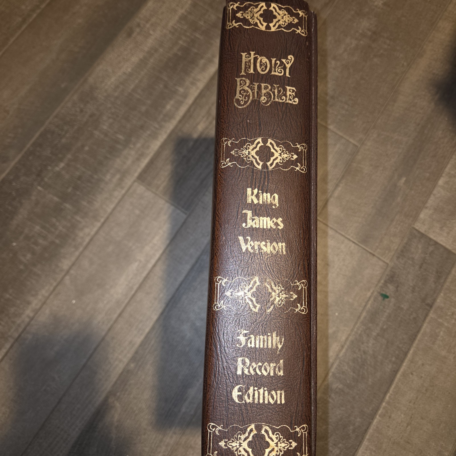 Vintage 1970s Fireside Family Edition Holy Bible (King James Version) with Salt