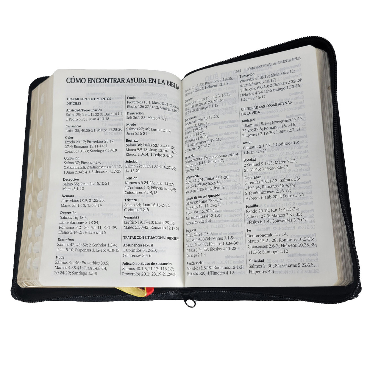 Biblia Letra Grande con Cierre y Concordancia Amplia RV1960 negro con indice