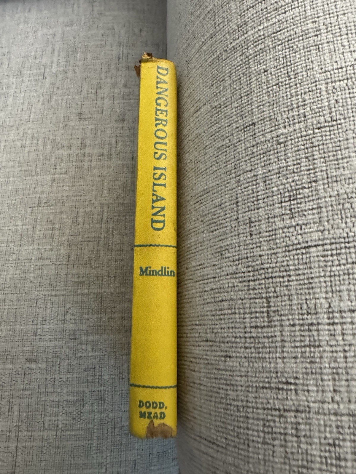 Dangerous Island Helen Mather-Smith Mindlin 1956 Weekly Reader HC