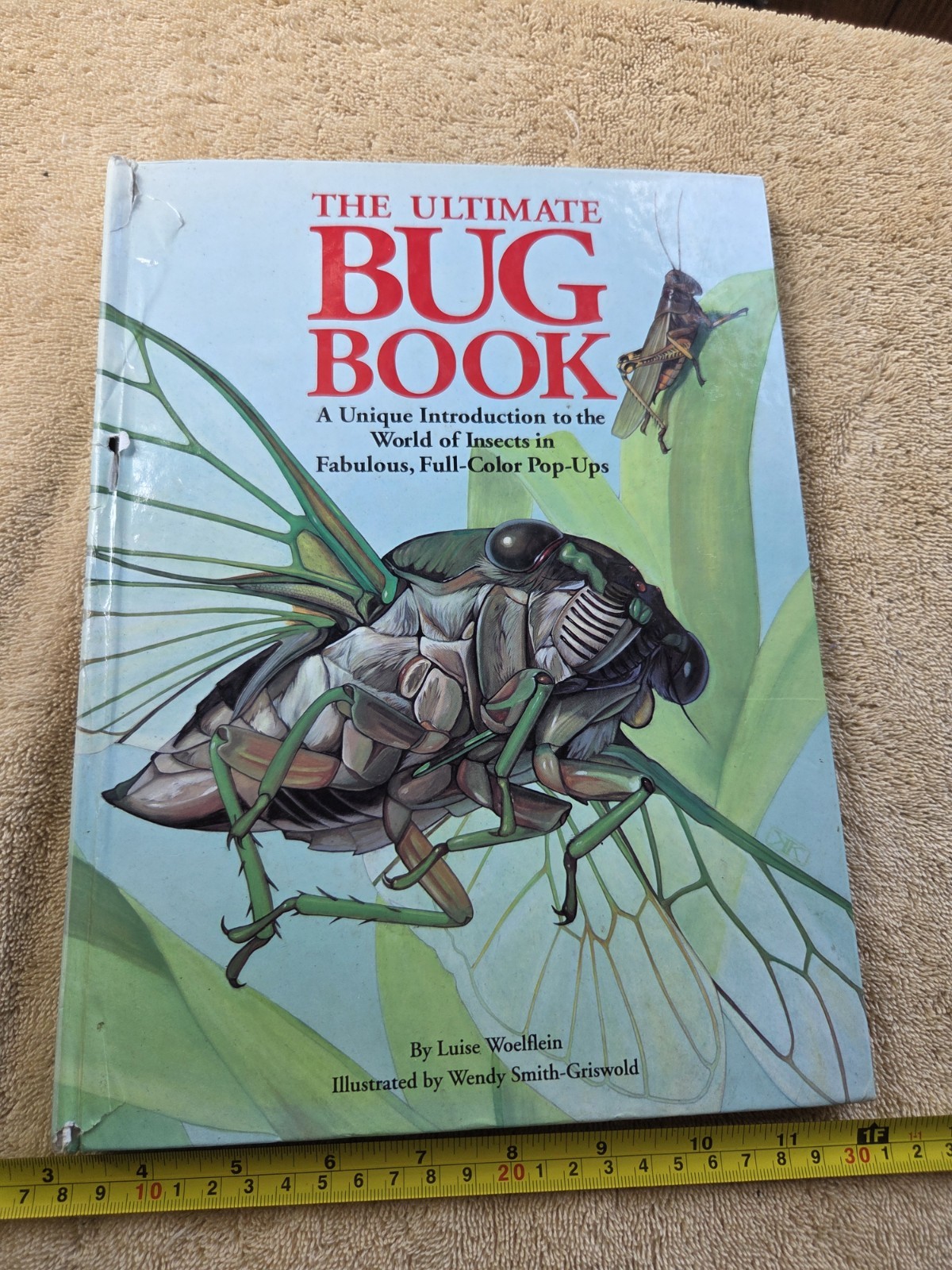 The Ultimate Bug Book Pop-Up HC 1993 Luise Woelflein Wendy Smith-Griswold