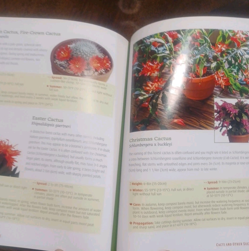 Houseplant Handbook: Basic Growing Techniques and a Directory of 300 Everyda…