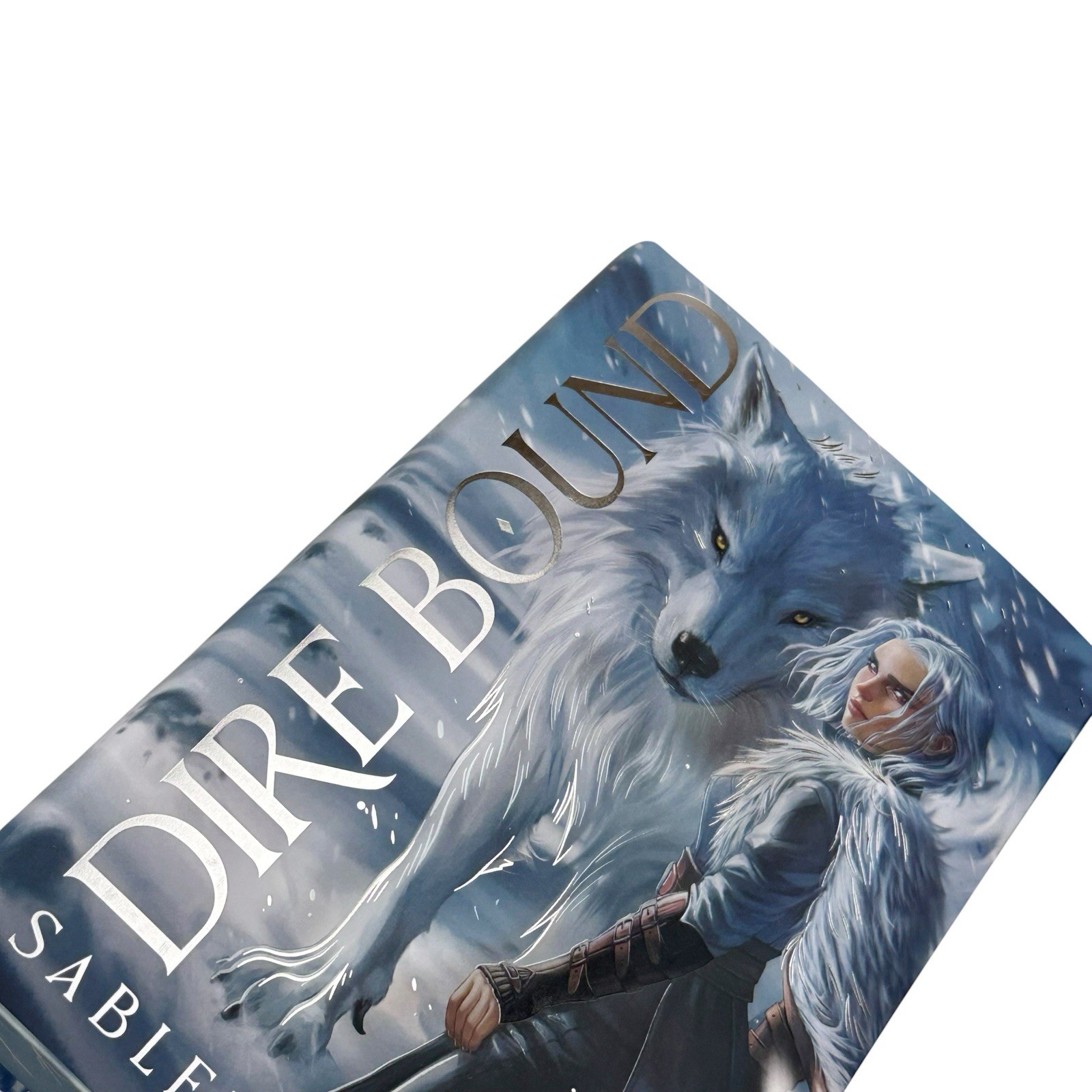 Dire Bound Fairyloot SIGNED Exclusive Edition Sable Sorensen (NEW)