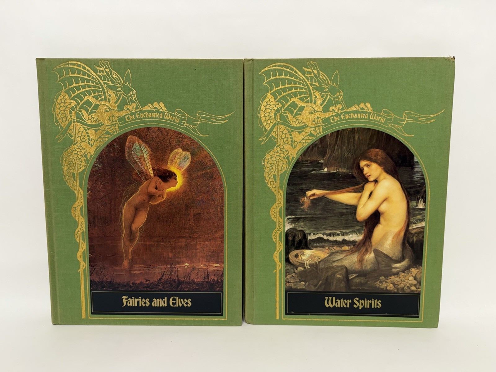 The Enchanted World COMPLETE SET 21 Time-Life Books Fantasy Folklore HC Full Lot