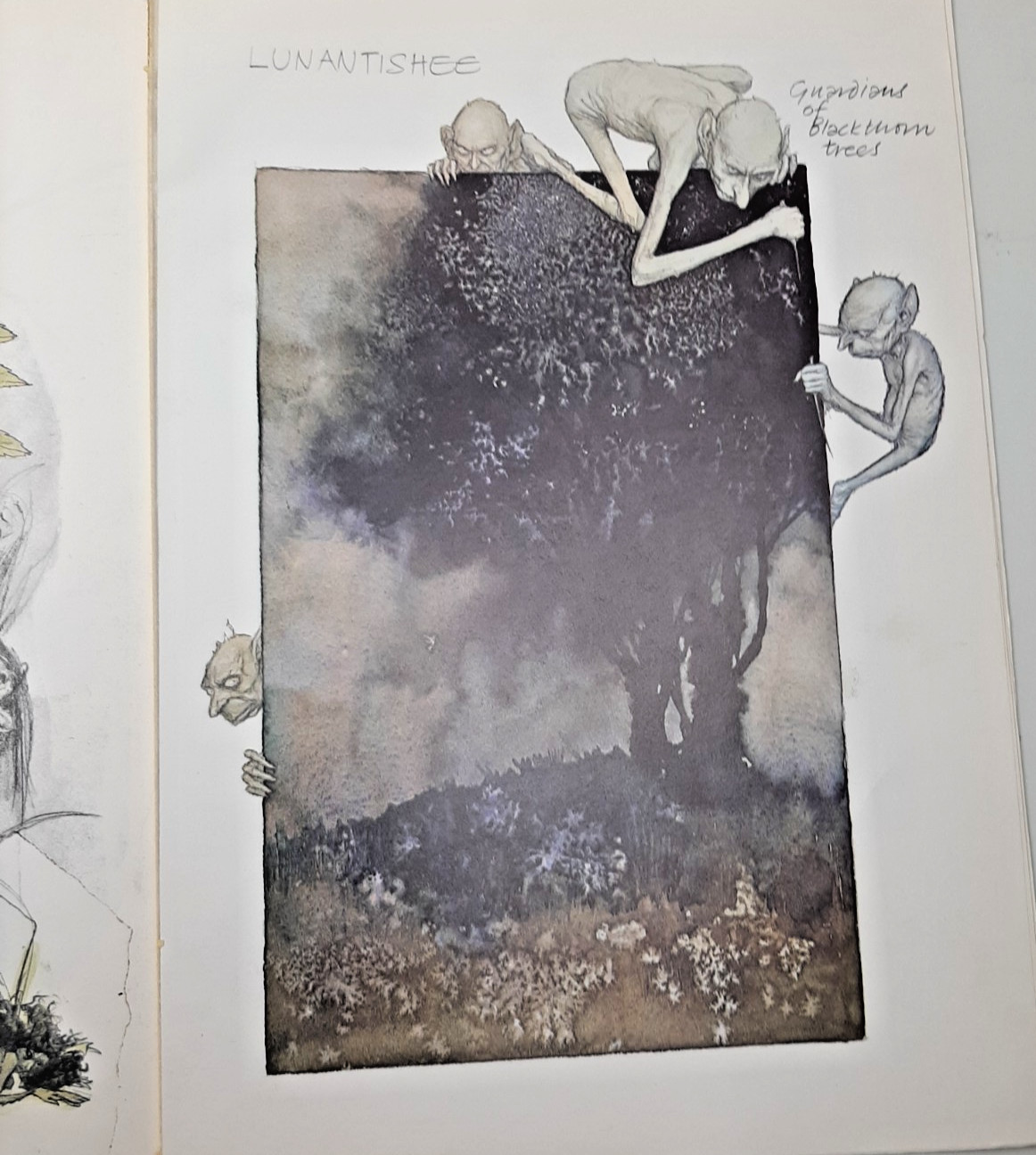 Vintage Faeries Book 1978 First Edition Printing Brian Froud Mythical Fairy Art