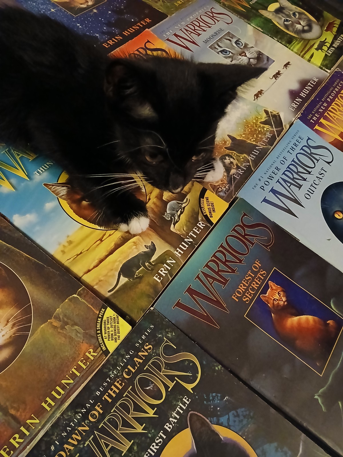 13 peace WARRIOS ERIN HUNTER Books ,