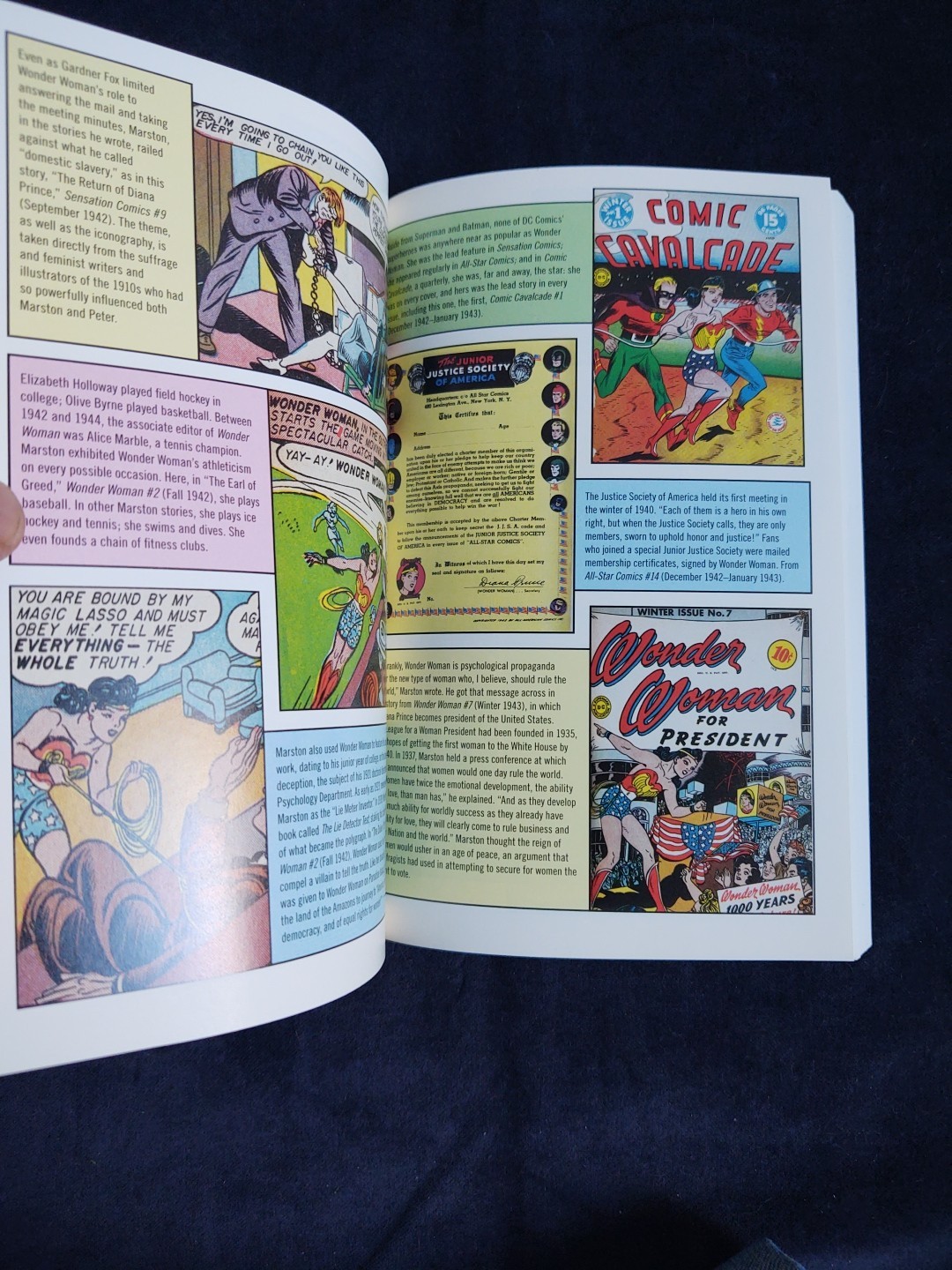 THE SECRET HISTORY OF WONDER WOMAN Softcover Book Jill Lepore Comics Feminism EX