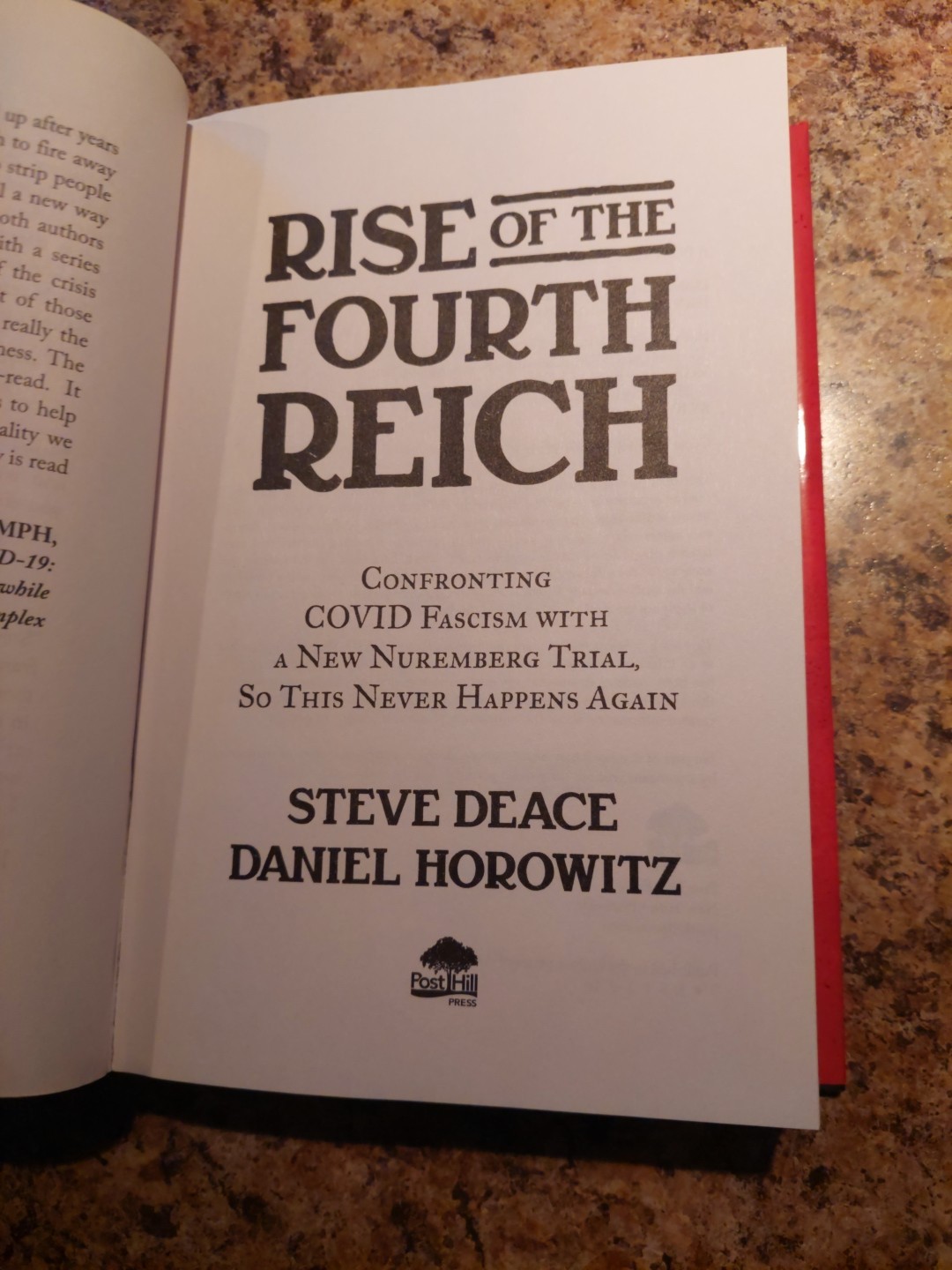 Rise of the Fourth Reich by Steve Deace and Daniel Horowitz