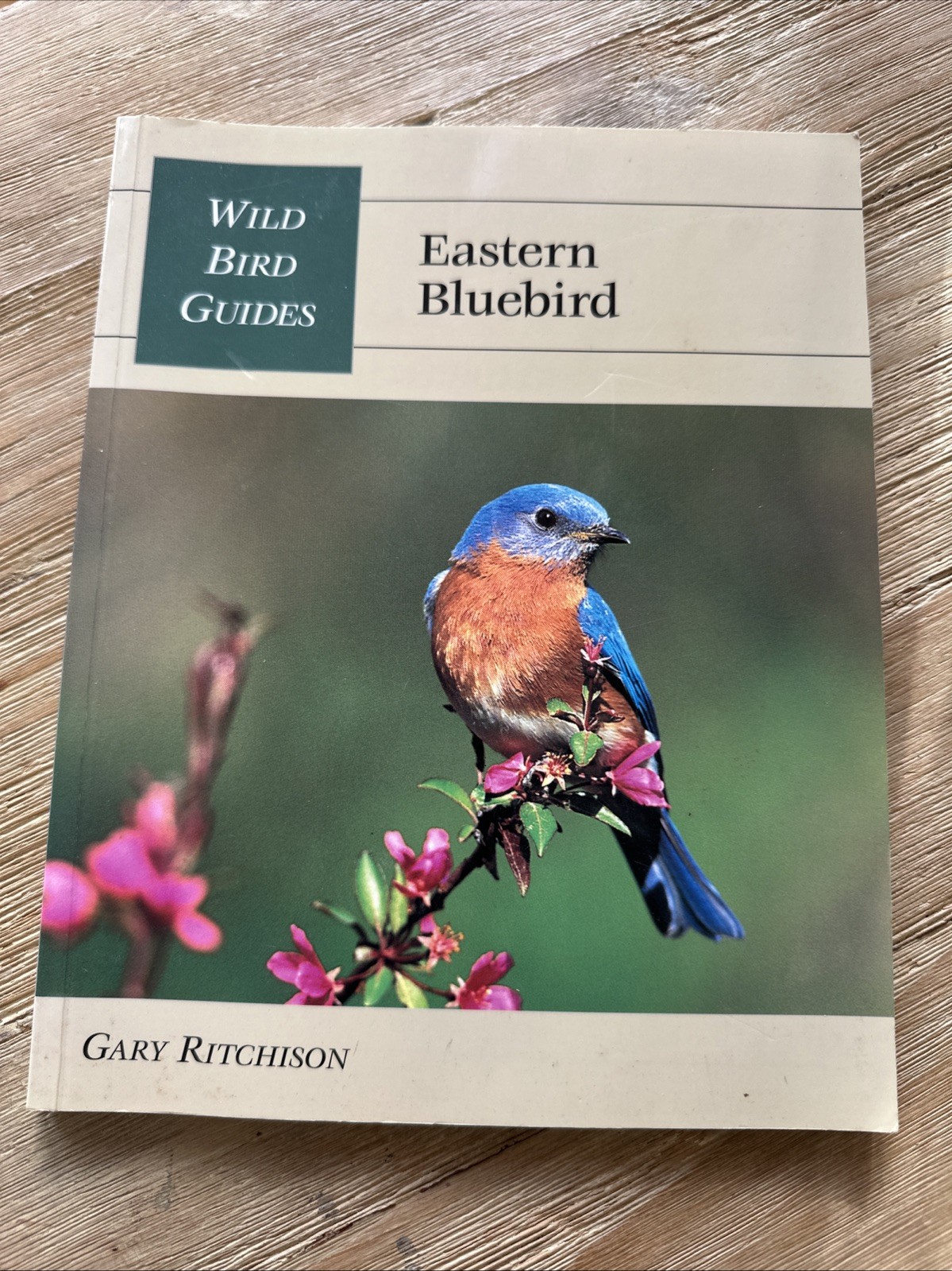 Wild Bird Guide: Eastern Bluebird (Wild Bird Guides) by Ritchison, Gary Book