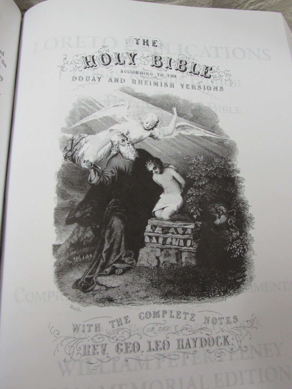 Hardback Douay Rheims Haydock Holy Bible in English