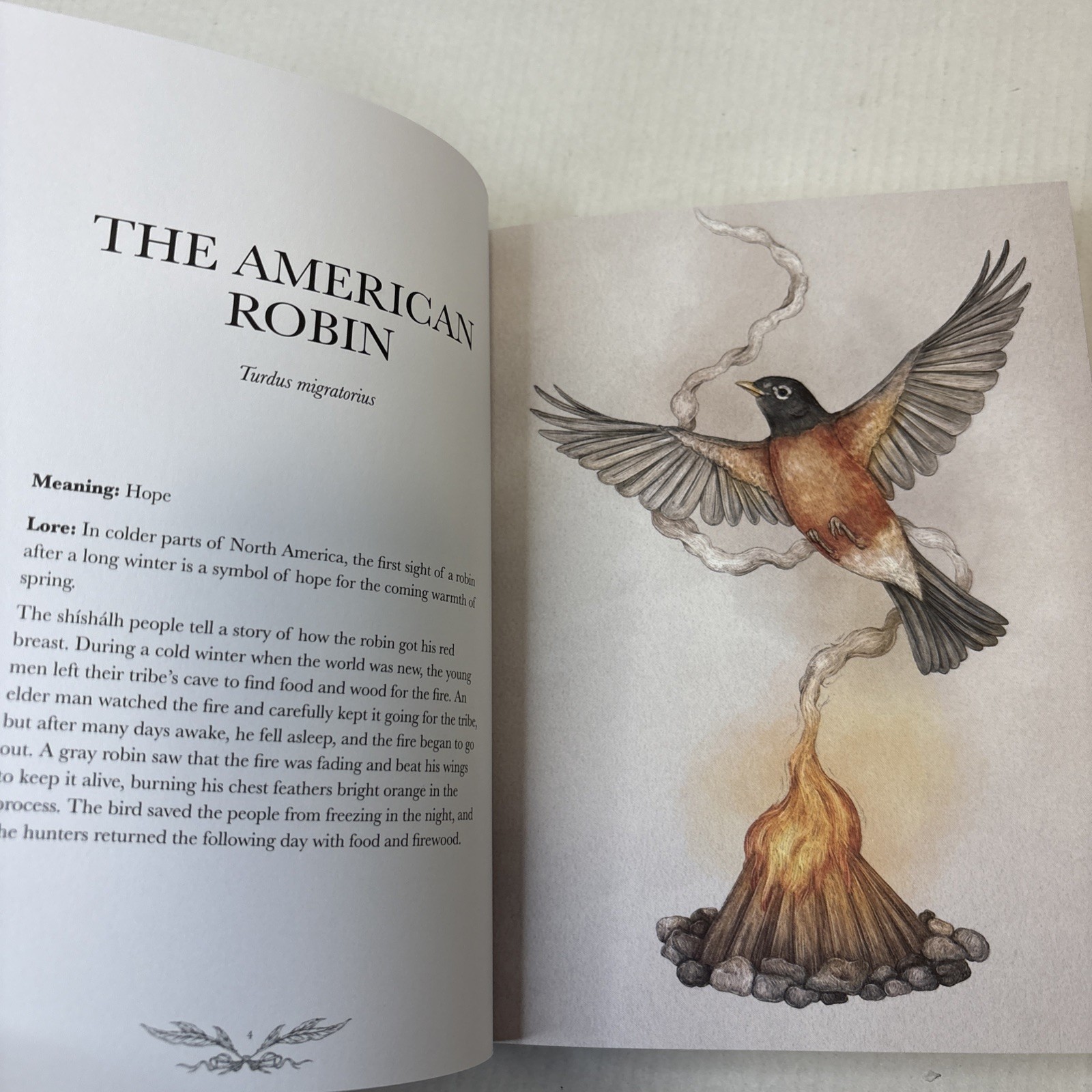 Ornithography: An Illustrated Guide to Bird Lore & Symbolism HC Excellent