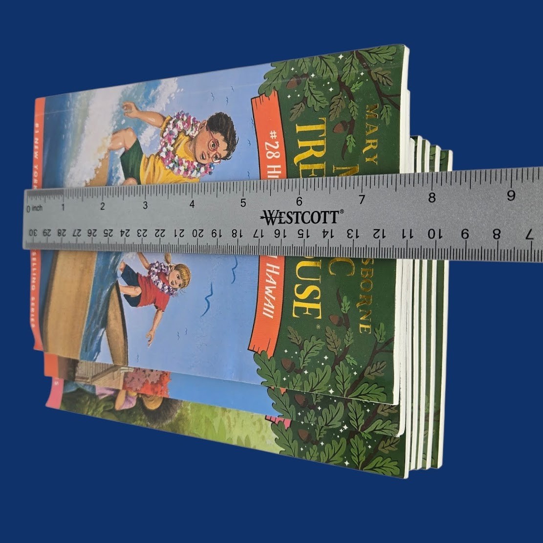 Set 4A: Magic Tree House A Library of Books 1-28 – Mary Pope Osborne Collection