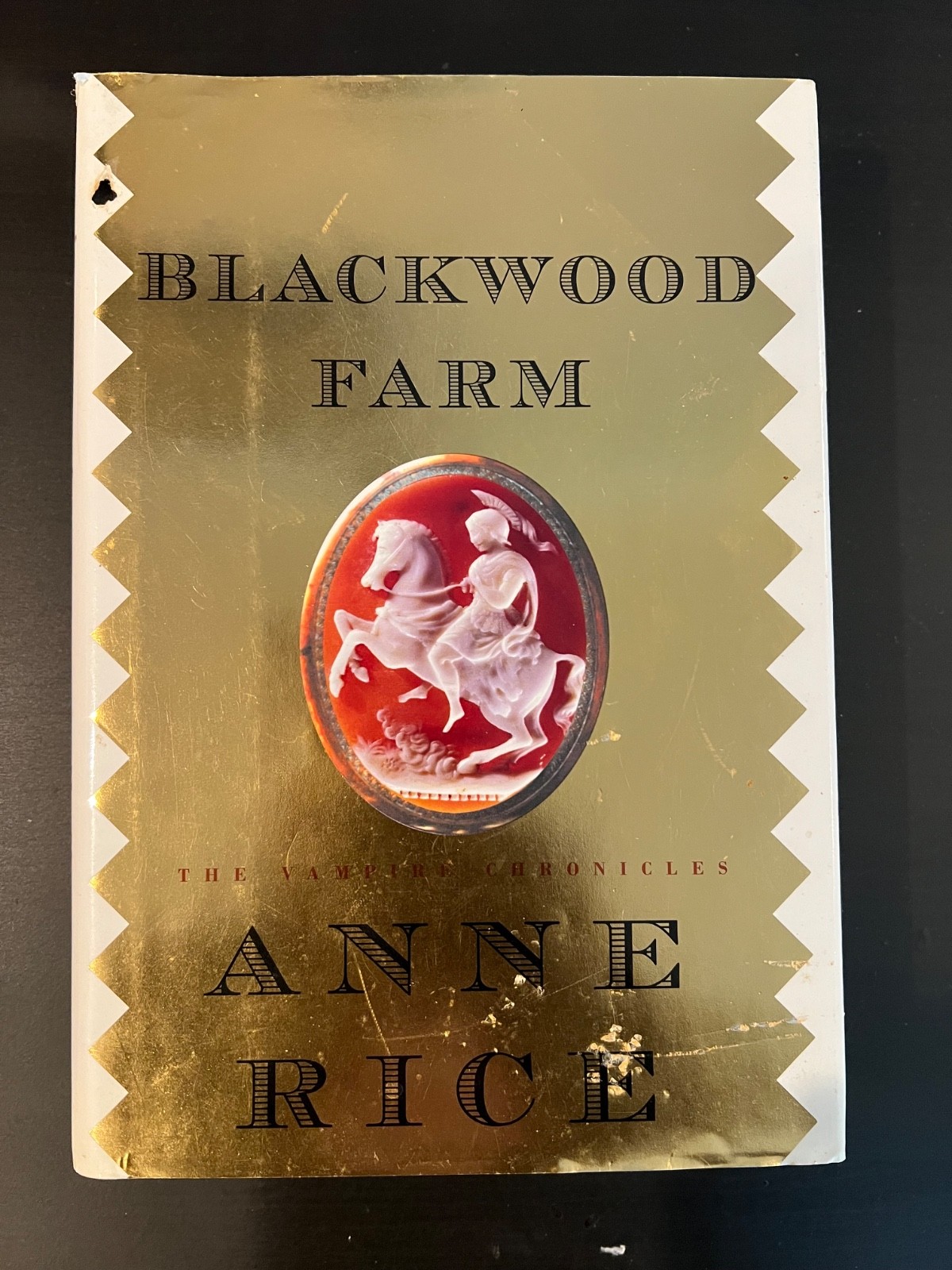 Vampire Chronicles by Anne Rice Complete Series 15 Books