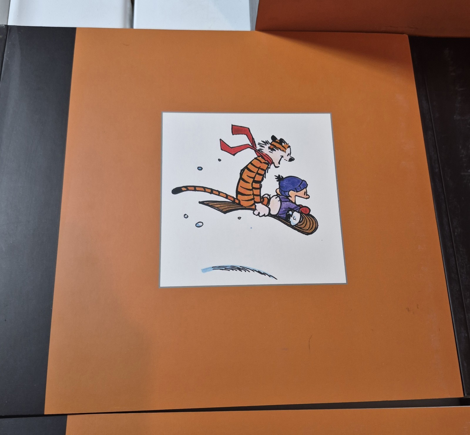 The Complete Calvin and Hobbes • 4 Book Box Set (Paperback)