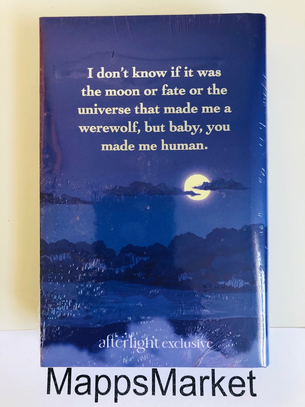 SIGNED Fan Service by Rosie Danan ILLUMICRATE AFTERLIGHT EXCLUSIVE HC Stenciled