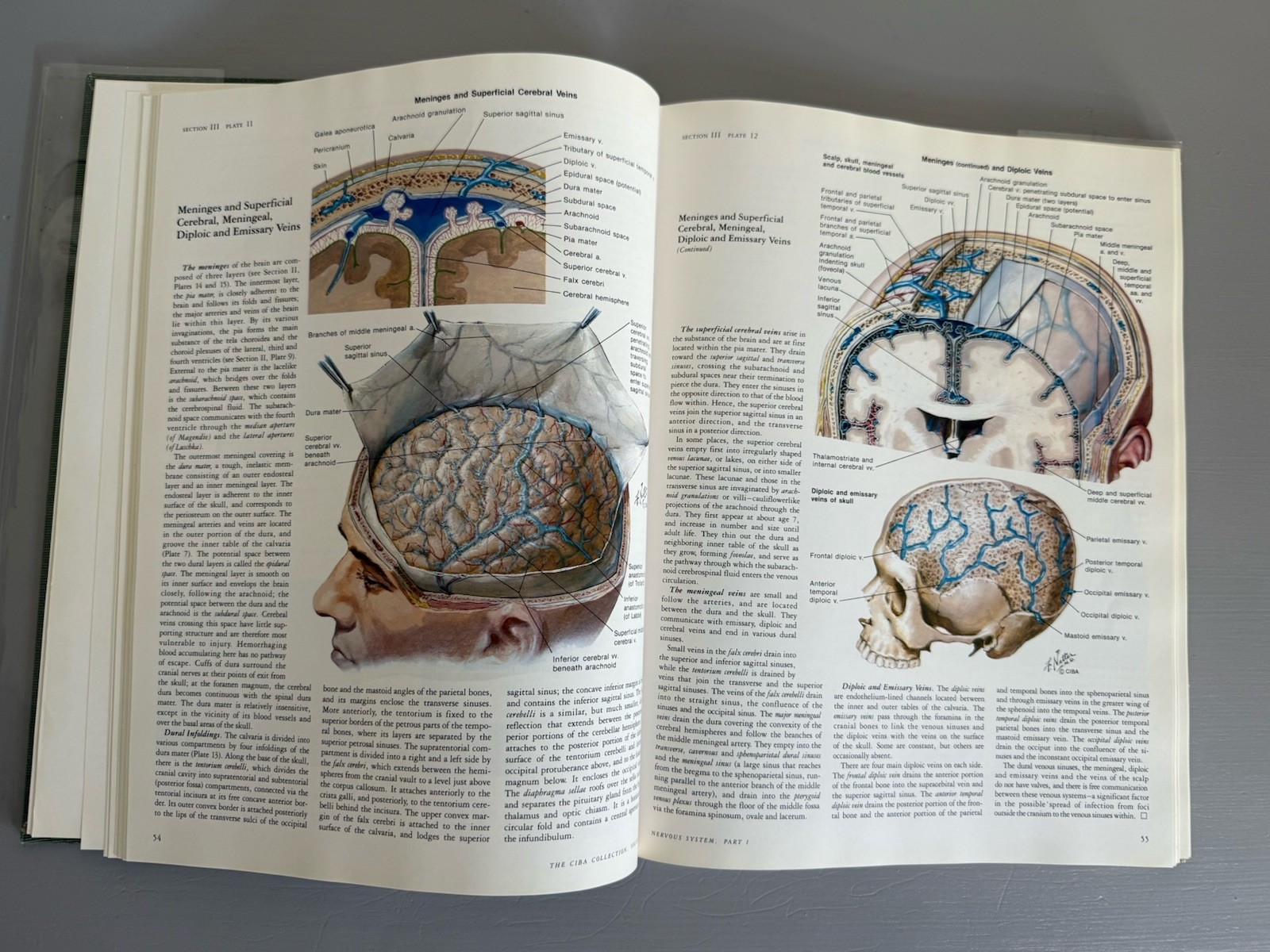 Ciba Collection of Medical Illustrations Volume 1 Nervous Systems Part 1 Netter