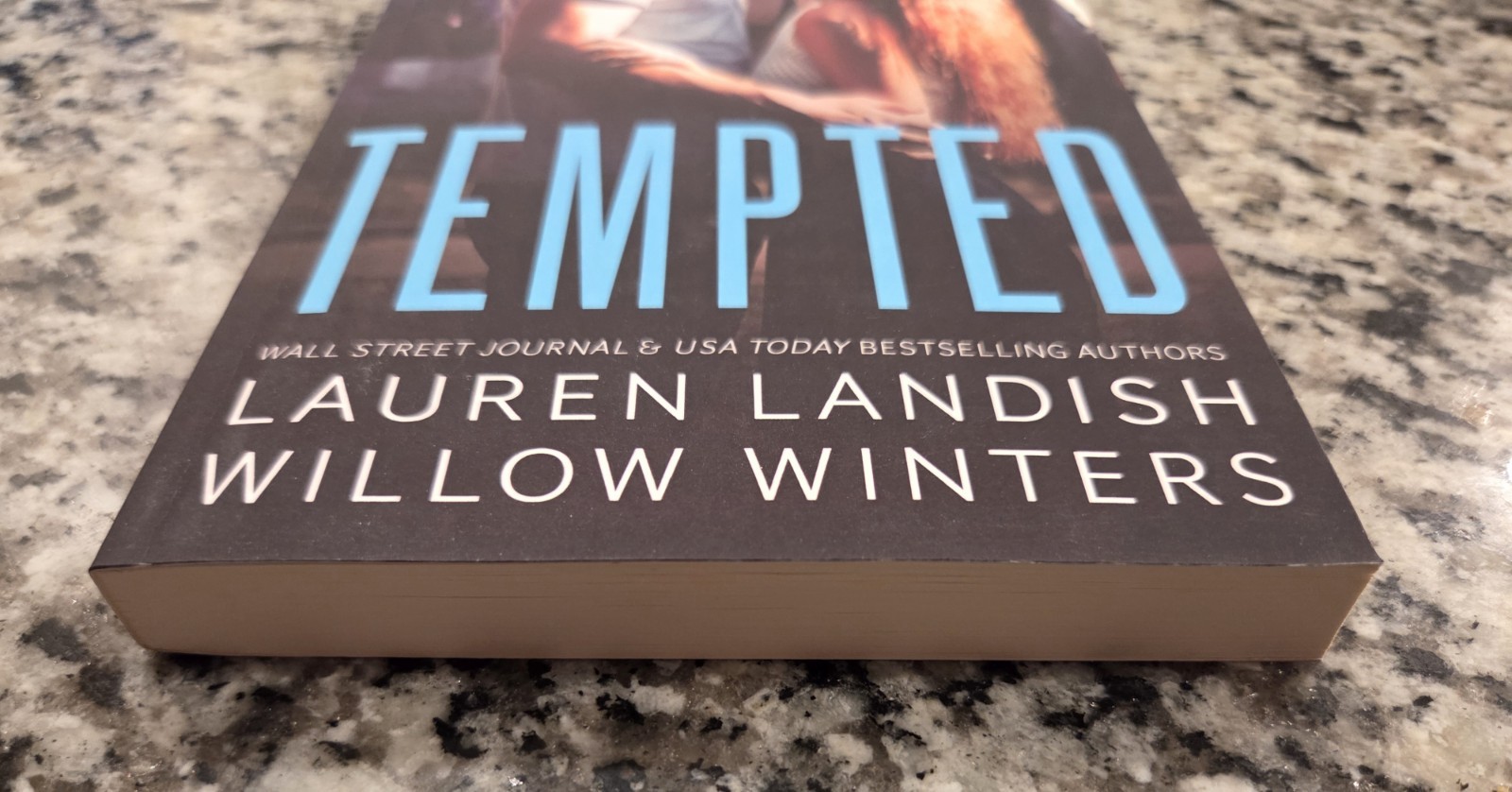 Tempted: A Bad Boy Next Door Soft Cover Lauren Landish & Willow Winters Book