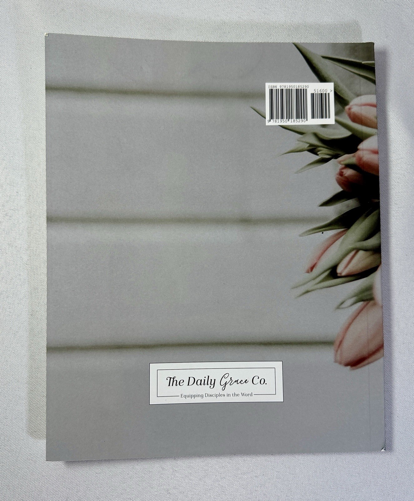 Even If a study of Habakkuk by The Daily Grace Co. Book Kristin Schmucker
