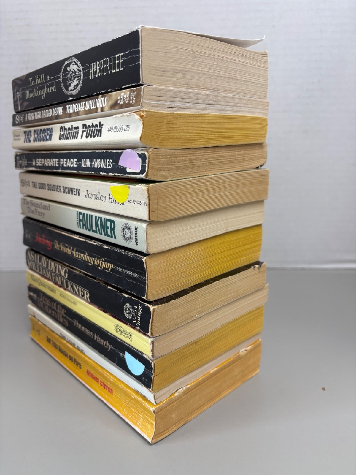 Classic Novels Lot of 12 Paperback (See Photos for Titles)