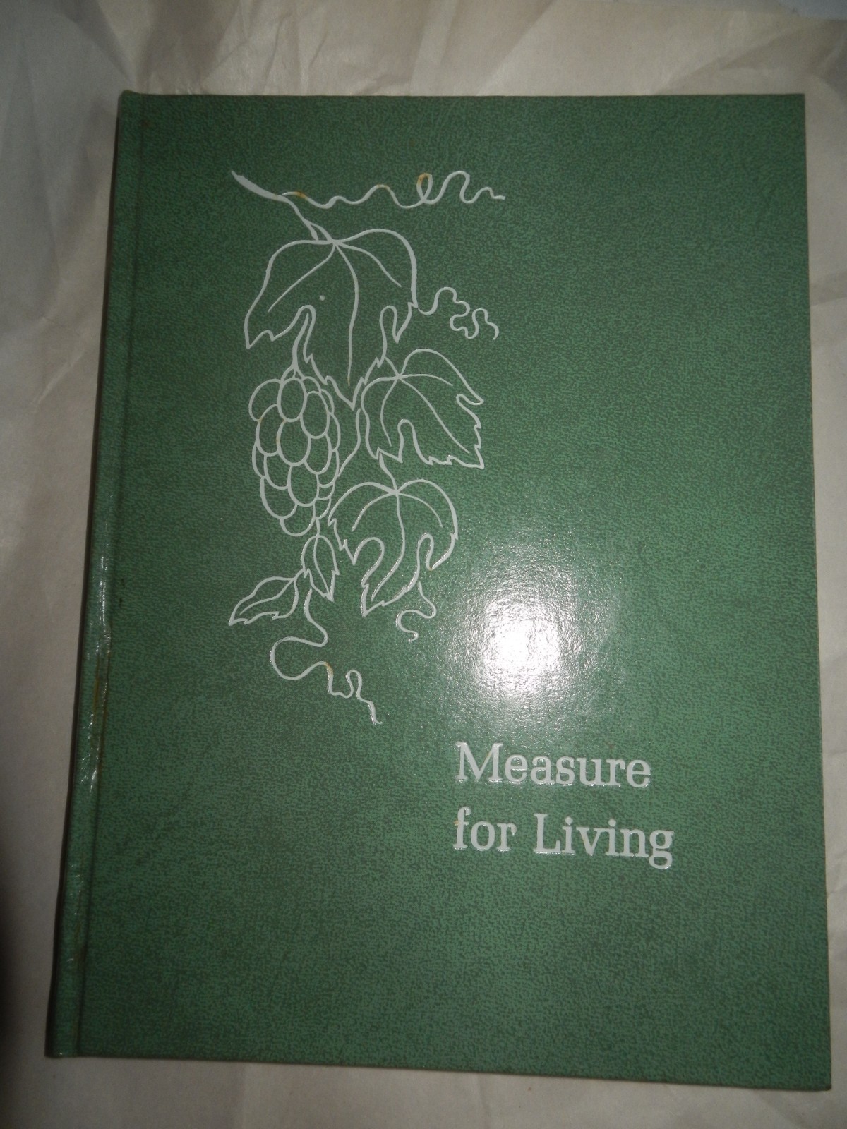 MEASURE FOR LIVING-Devotions & Poems of Affirmation-Roy Z. Kemp 88 Pages