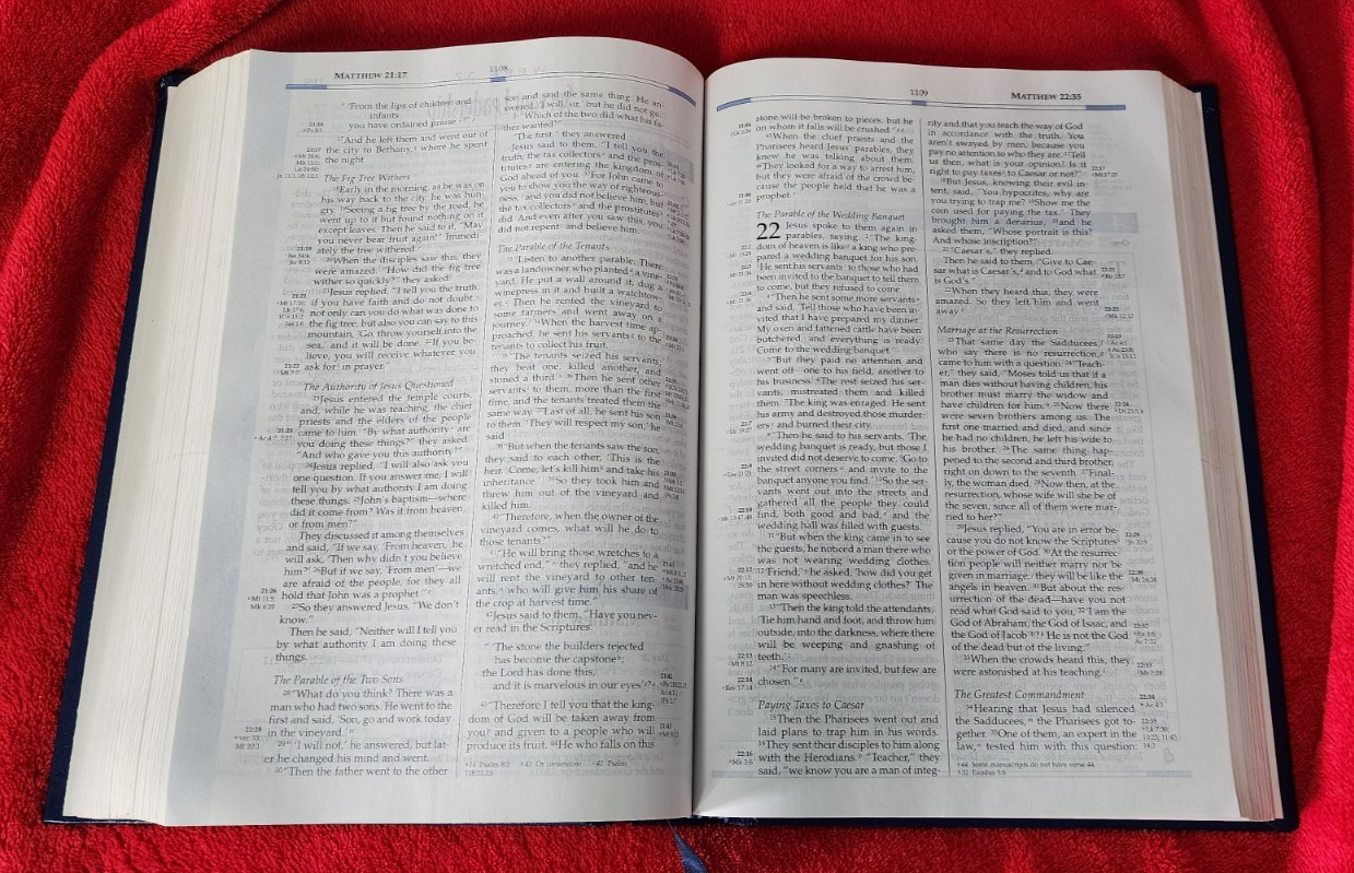 Freedom in Christ Bible New International Version Discovery Zondervan 2001 HB