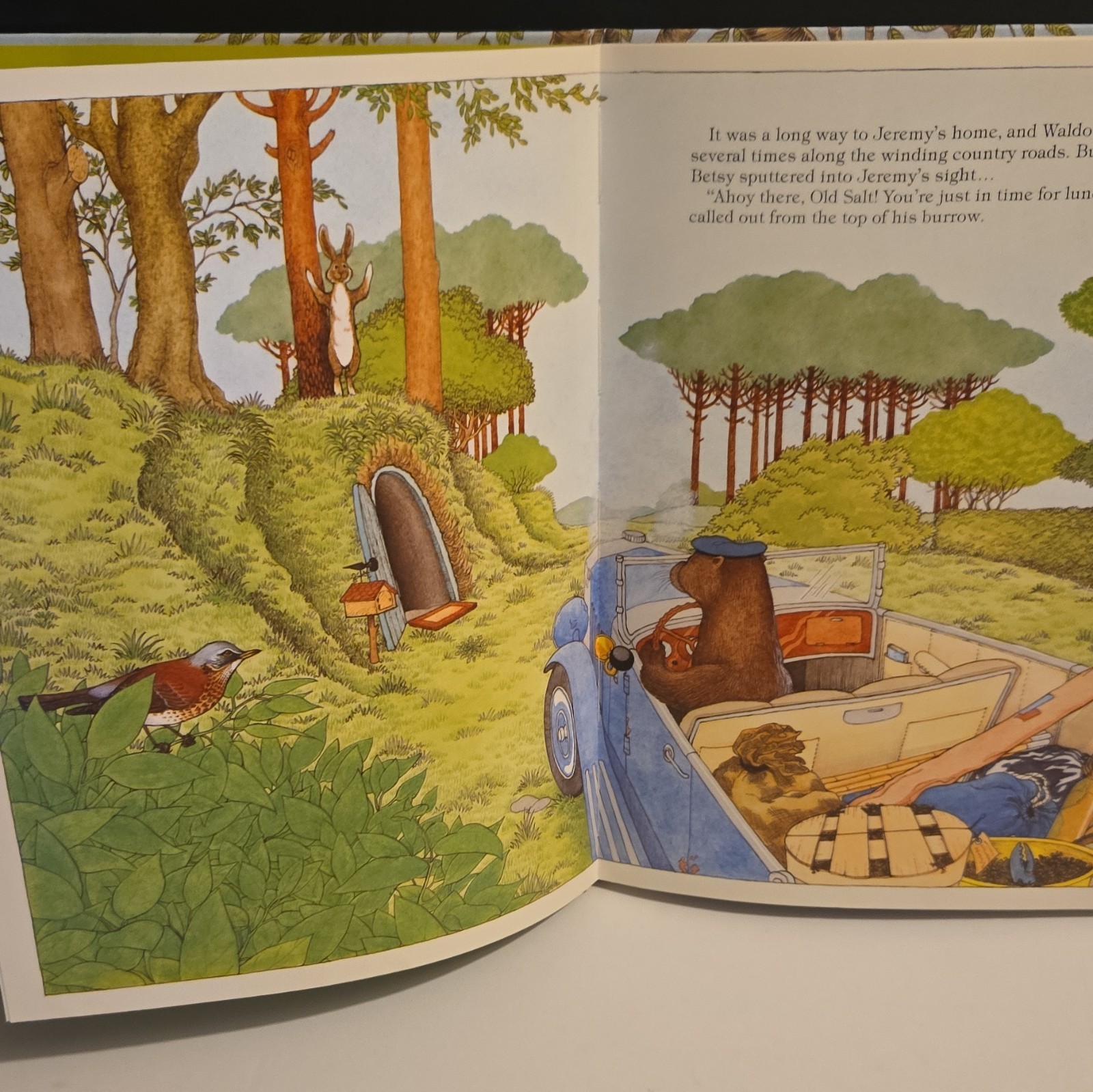 RARE The Country Life of J.B. Rabbit Doris Susan Smith Hardcover 1983 Children