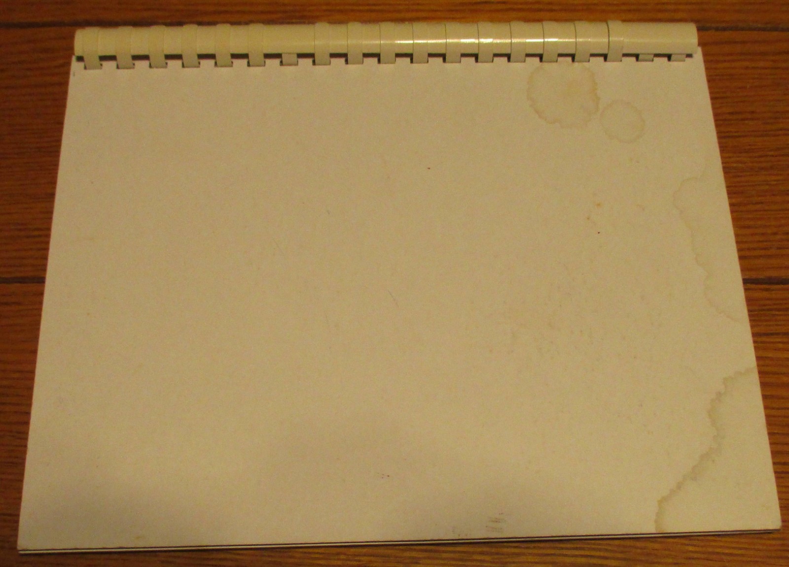 1988 Alfred The Ant by Jehan Clements SIGNED Spiral Bound Book 47 Pages RARE!!!
